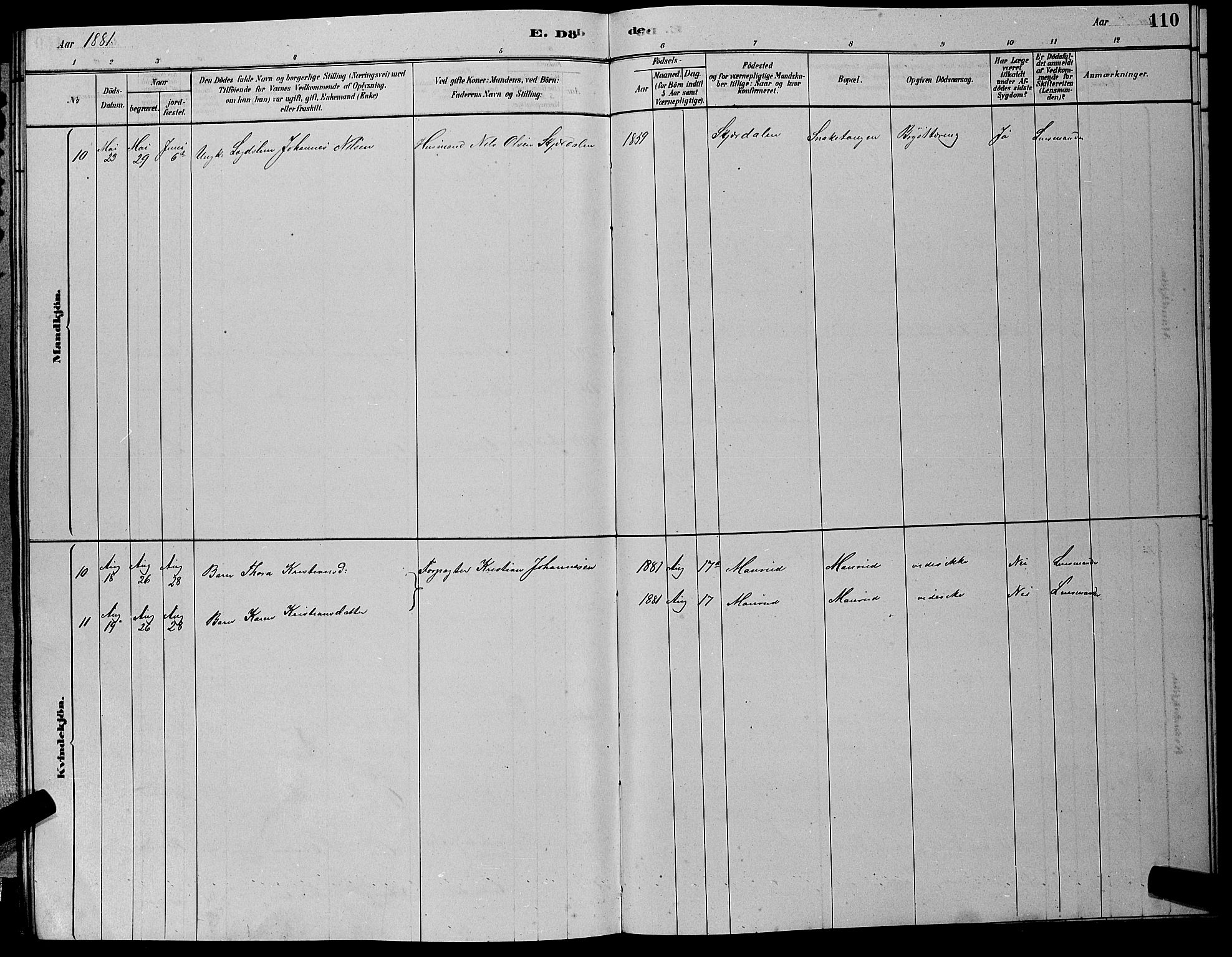 Hole kirkebøker, AV/SAKO-A-228/G/Gb/L0002: Parish register (copy) no. II 2, 1878-1889, p. 110