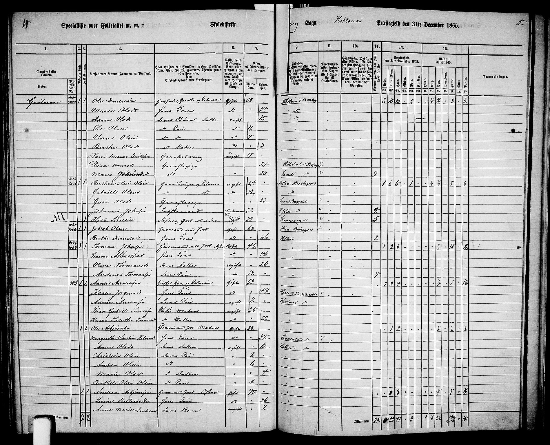 RA, 1865 census for Hetland, 1865, p. 186