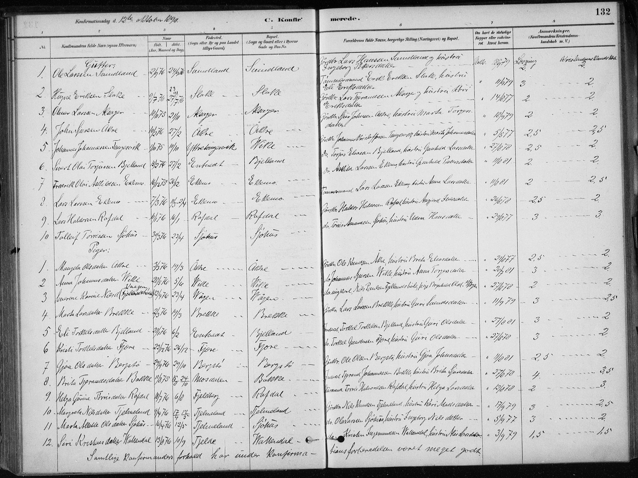 Skånevik sokneprestembete, SAB/A-77801/H/Haa: Parish register (official) no. E  1, 1879-1901, p. 132