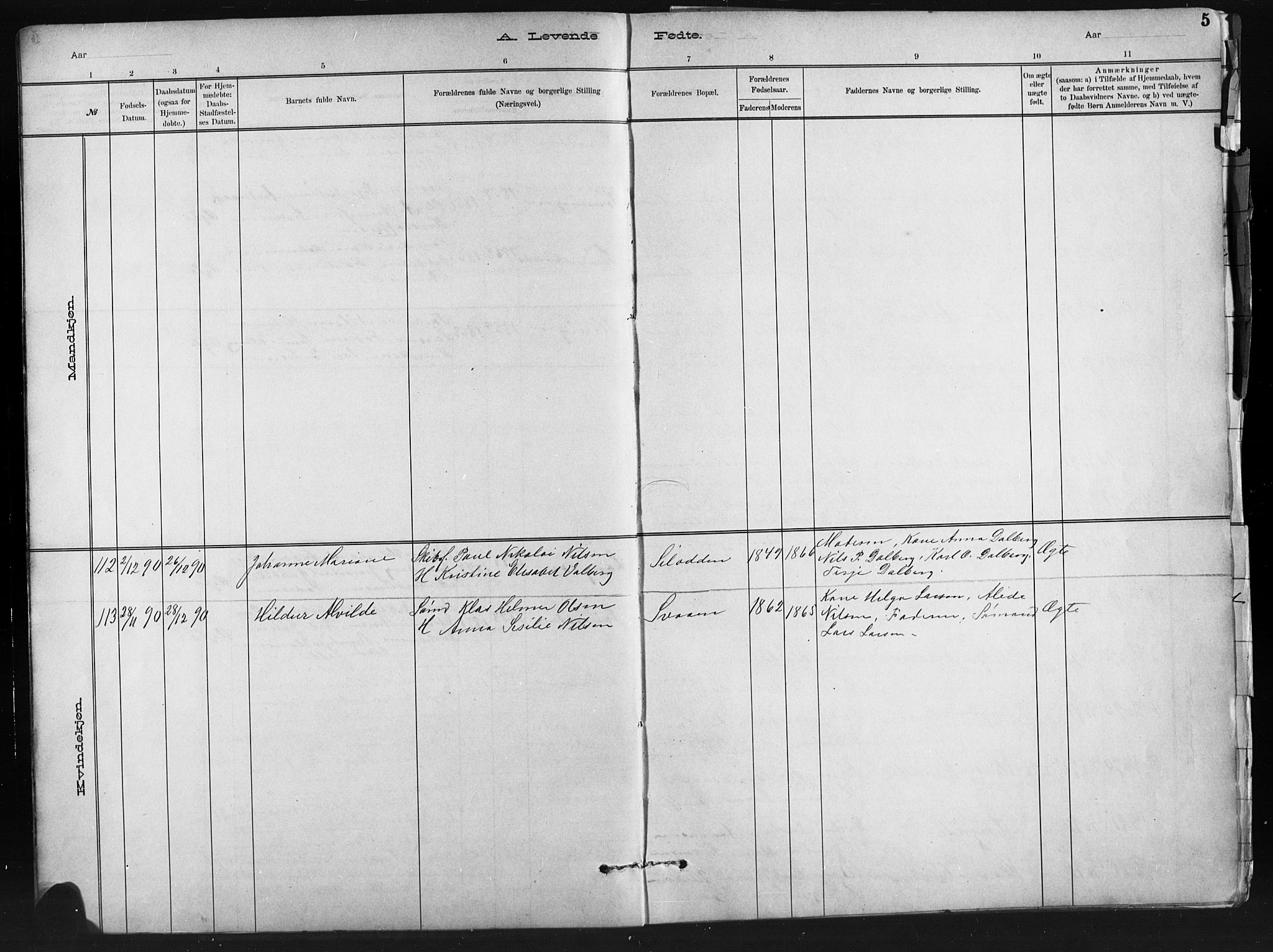 Barbu sokneprestkontor, AV/SAK-1111-0003/F/Fb/L0002: Parish register (copy) no. B 2, 1890-1922, p. 5