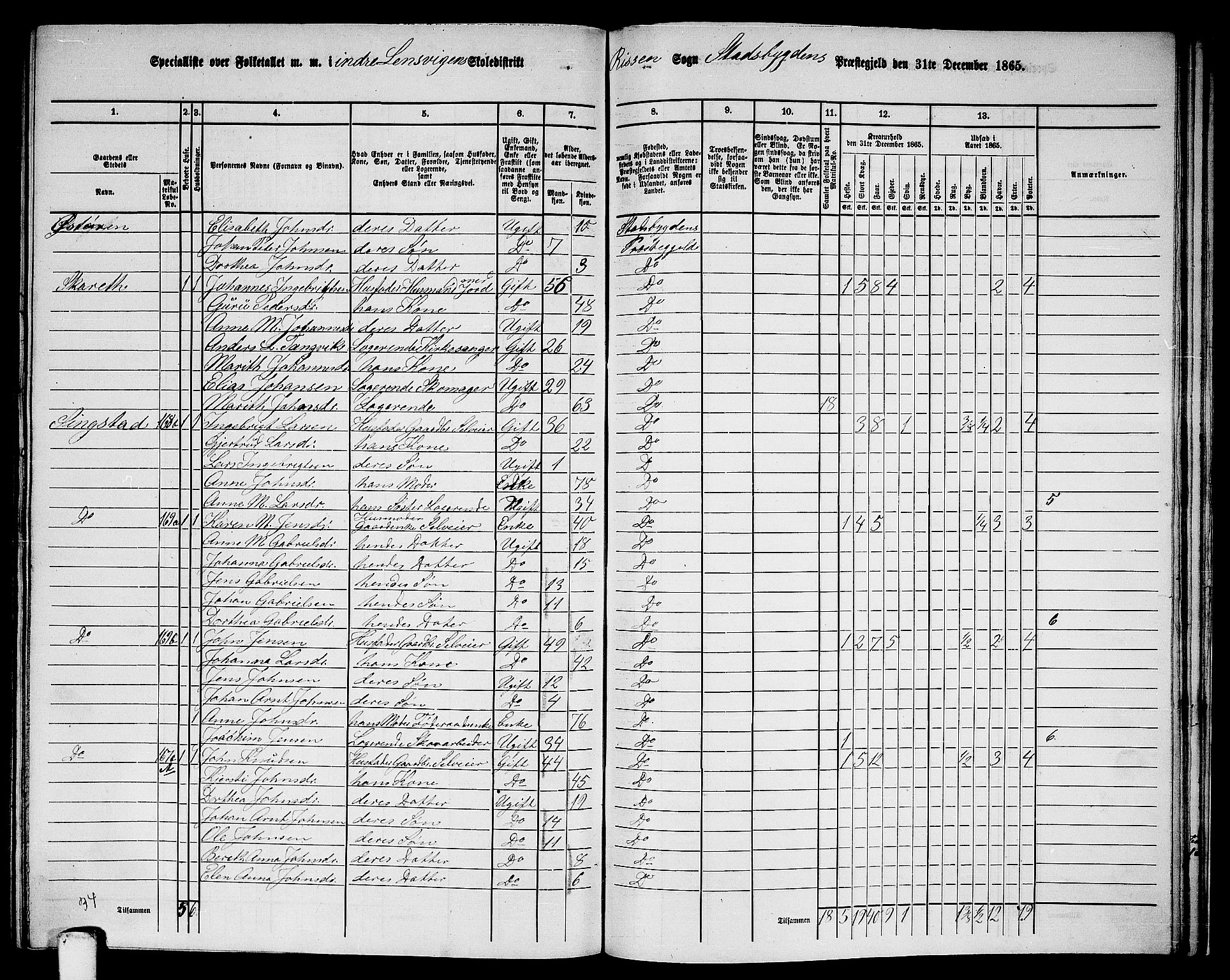 RA, 1865 census for Stadsbygd, 1865, p. 198