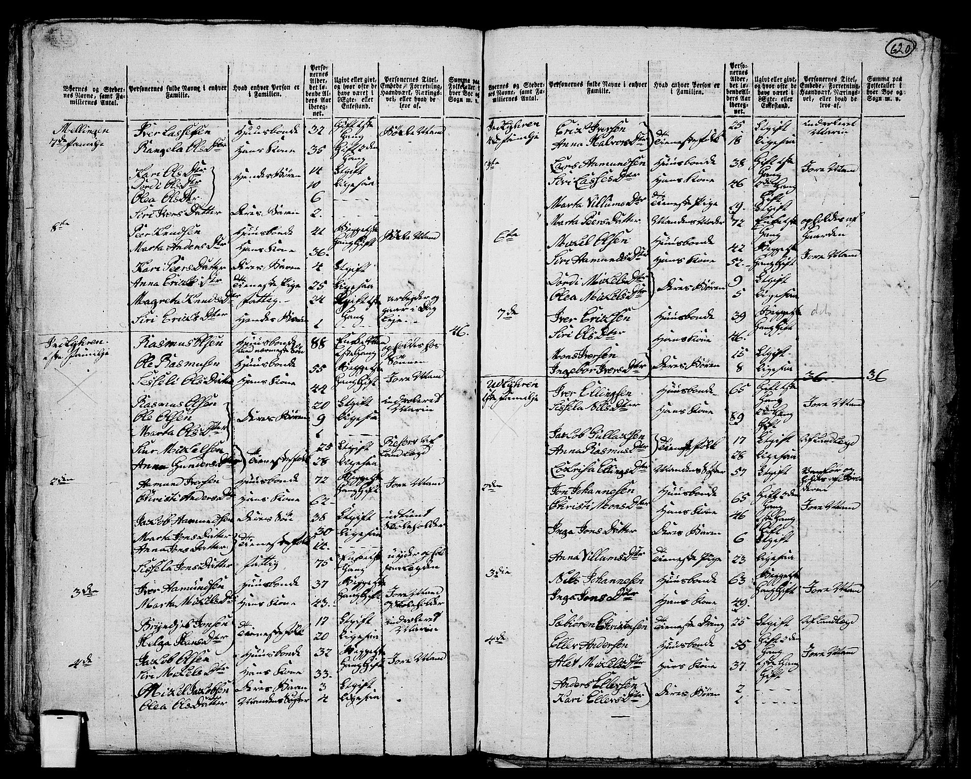 RA, 1801 census for 1263P Lindås, 1801, p. 619b-620a