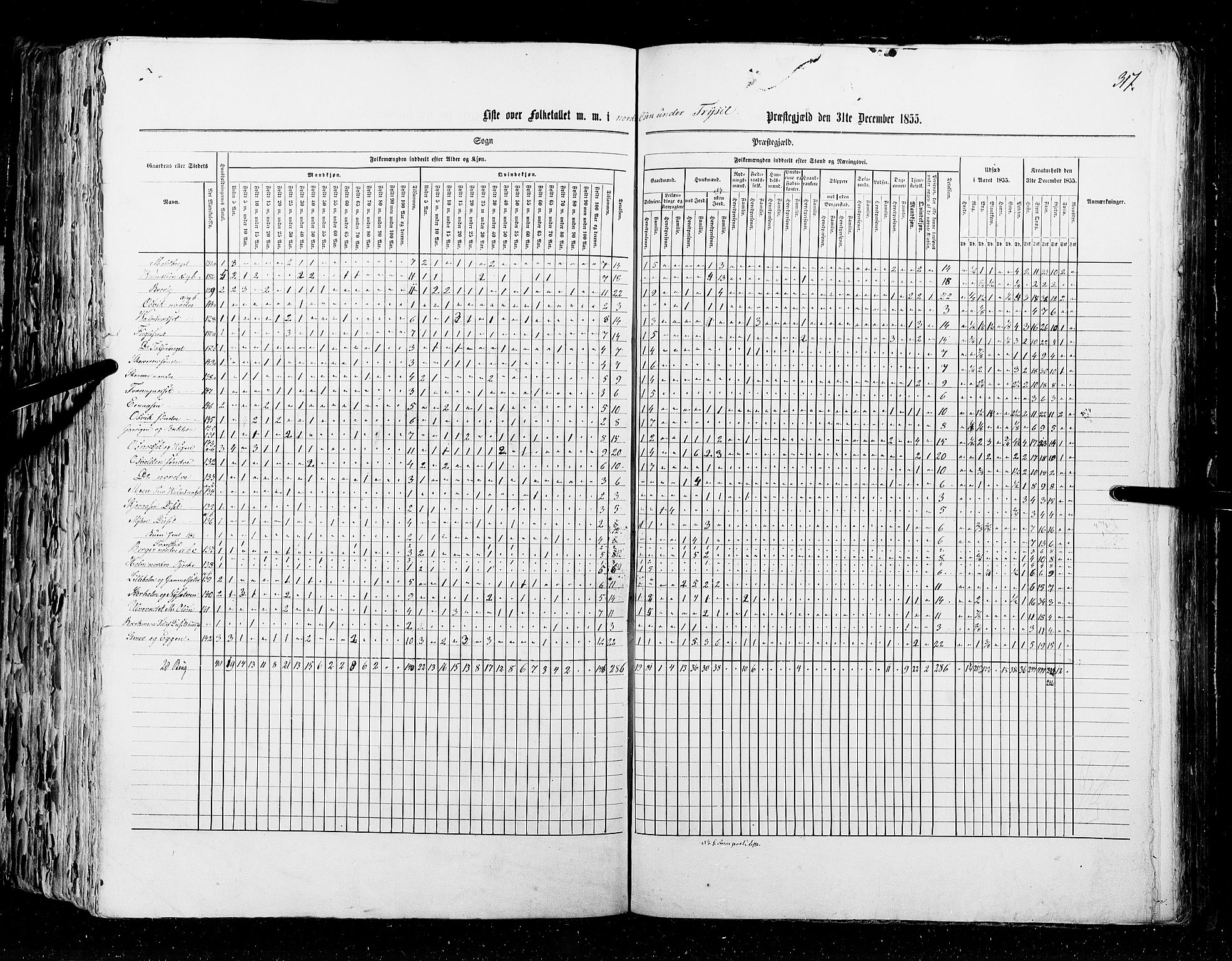 RA, Census 1855, vol. 1: Akershus amt, Smålenenes amt og Hedemarken amt, 1855, p. 317