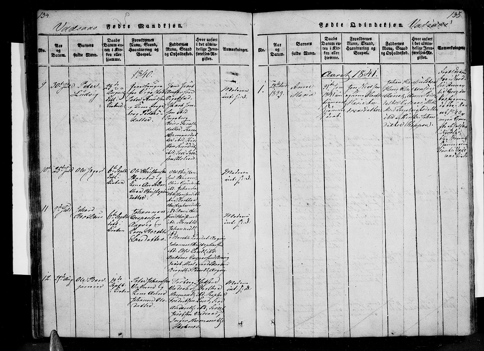 Ministerialprotokoller, klokkerbøker og fødselsregistre - Nordland, AV/SAT-A-1459/810/L0142: Parish register (official) no. 810A06 /1, 1819-1841, p. 134-135