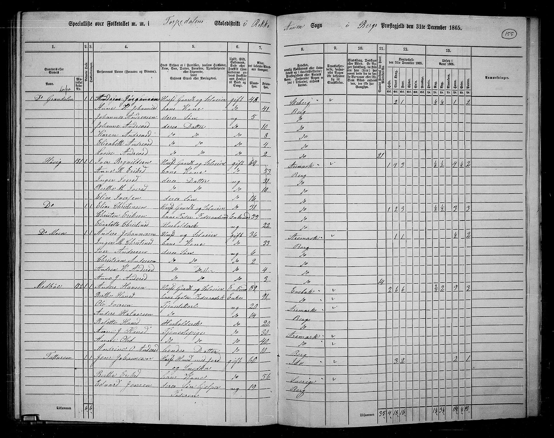 RA, 1865 census for Berg, 1865, p. 133