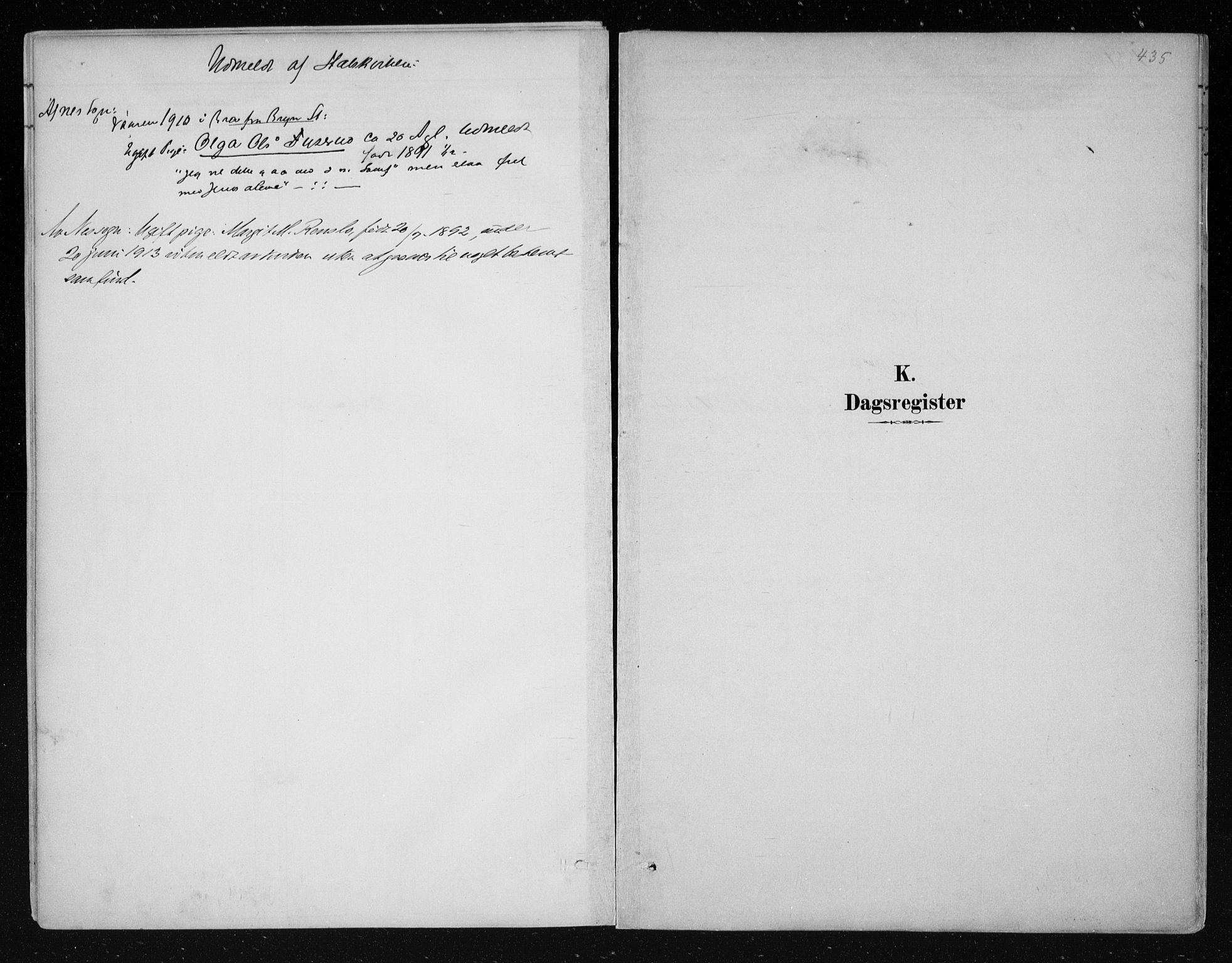 Nes kirkebøker, SAKO/A-236/F/Fa/L0011: Parish register (official) no. 11, 1881-1912, p. 435