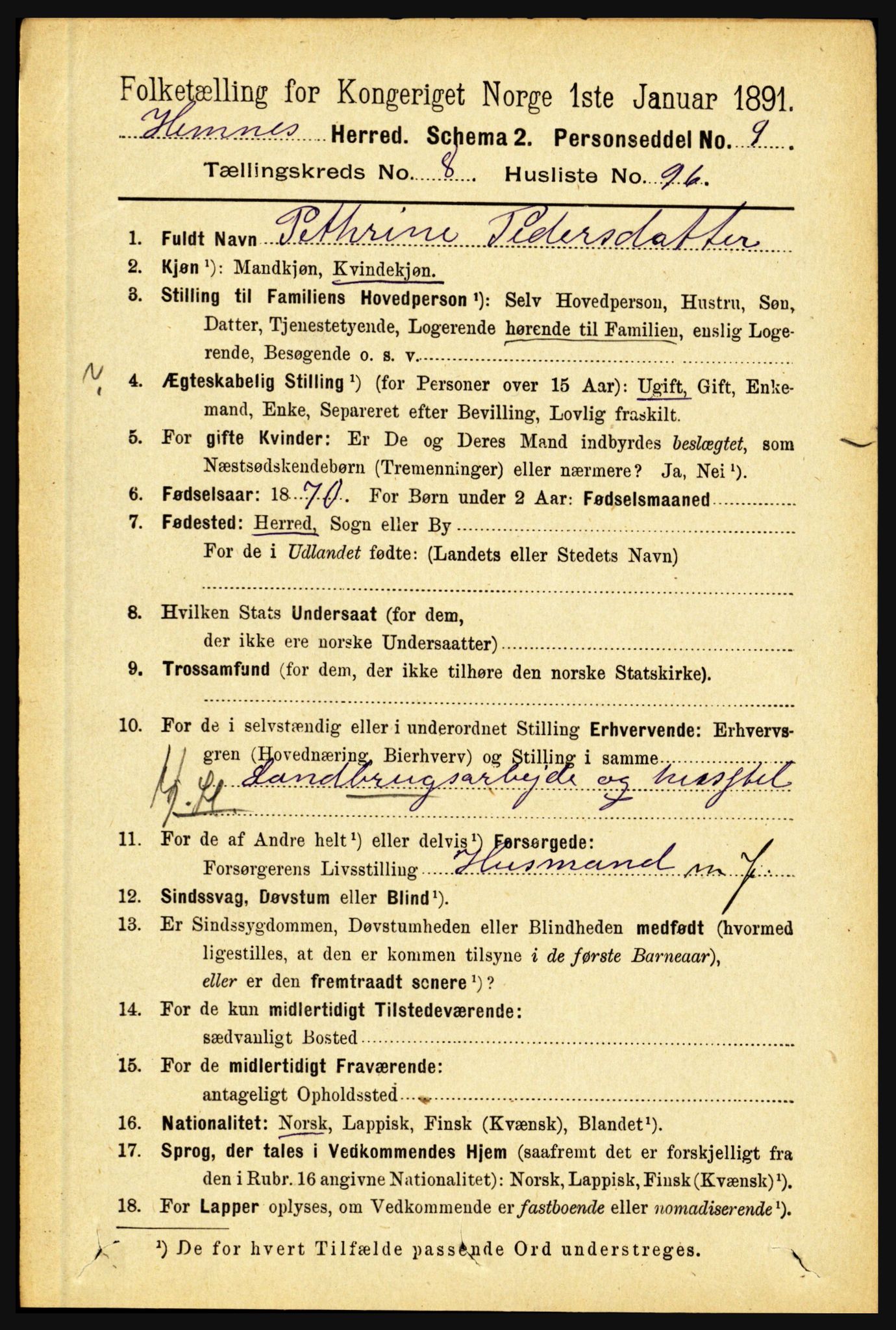 RA, 1891 census for 1832 Hemnes, 1891, p. 4241