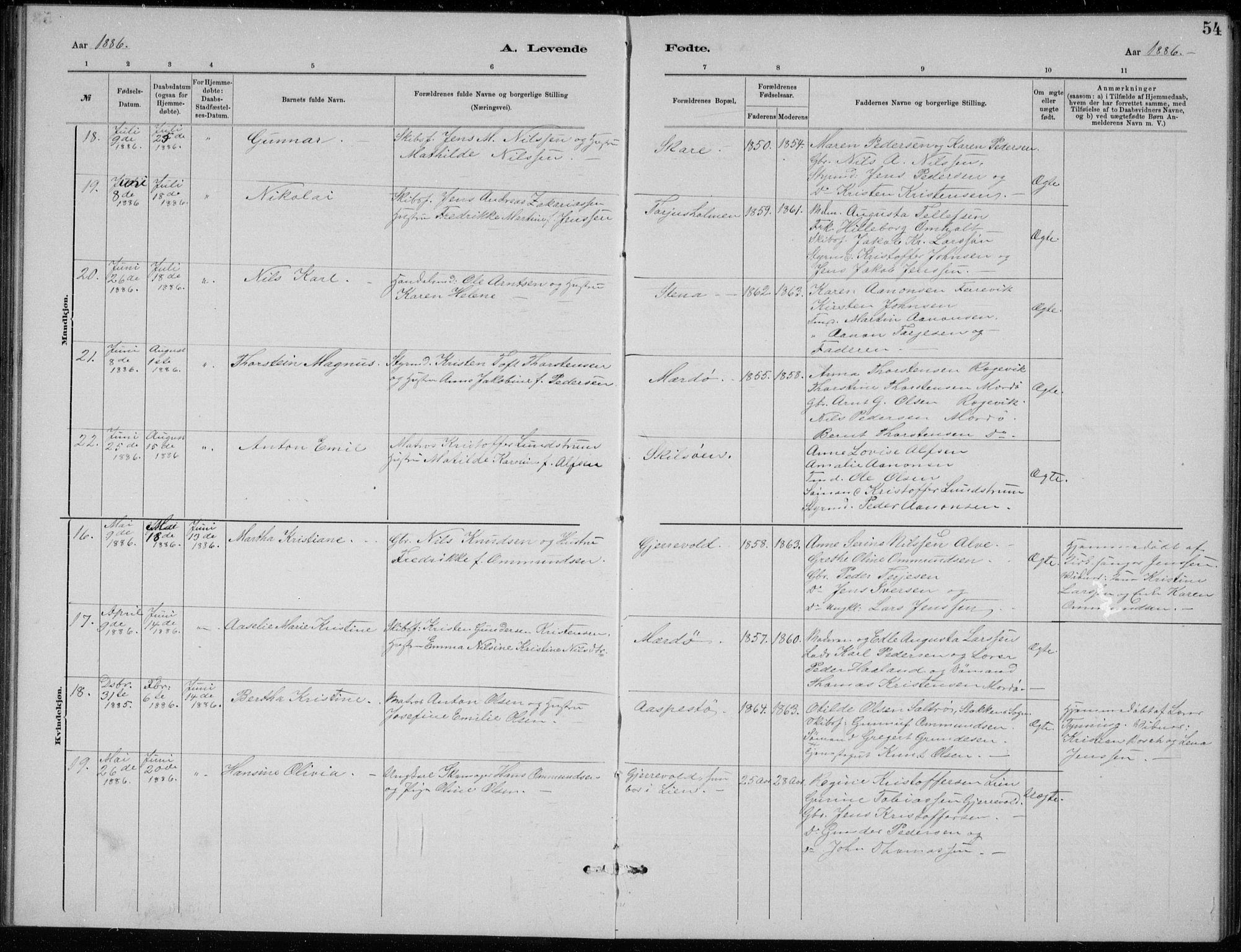 Tromøy sokneprestkontor, AV/SAK-1111-0041/F/Fb/L0005: Parish register (copy) no. B 5, 1877-1891, p. 54