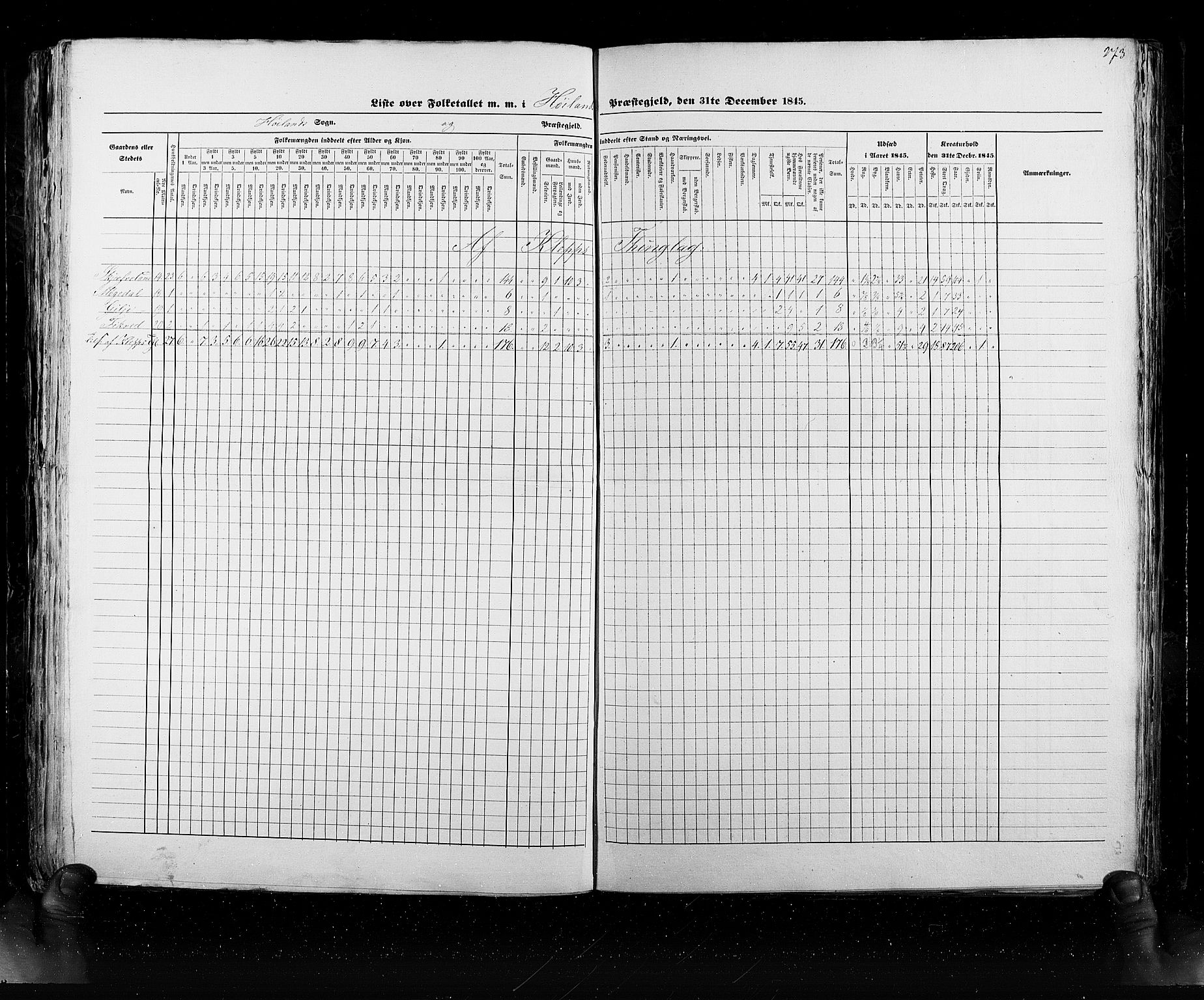 RA, Census 1845, vol. 6: Lister og Mandal amt og Stavanger amt, 1845, p. 273