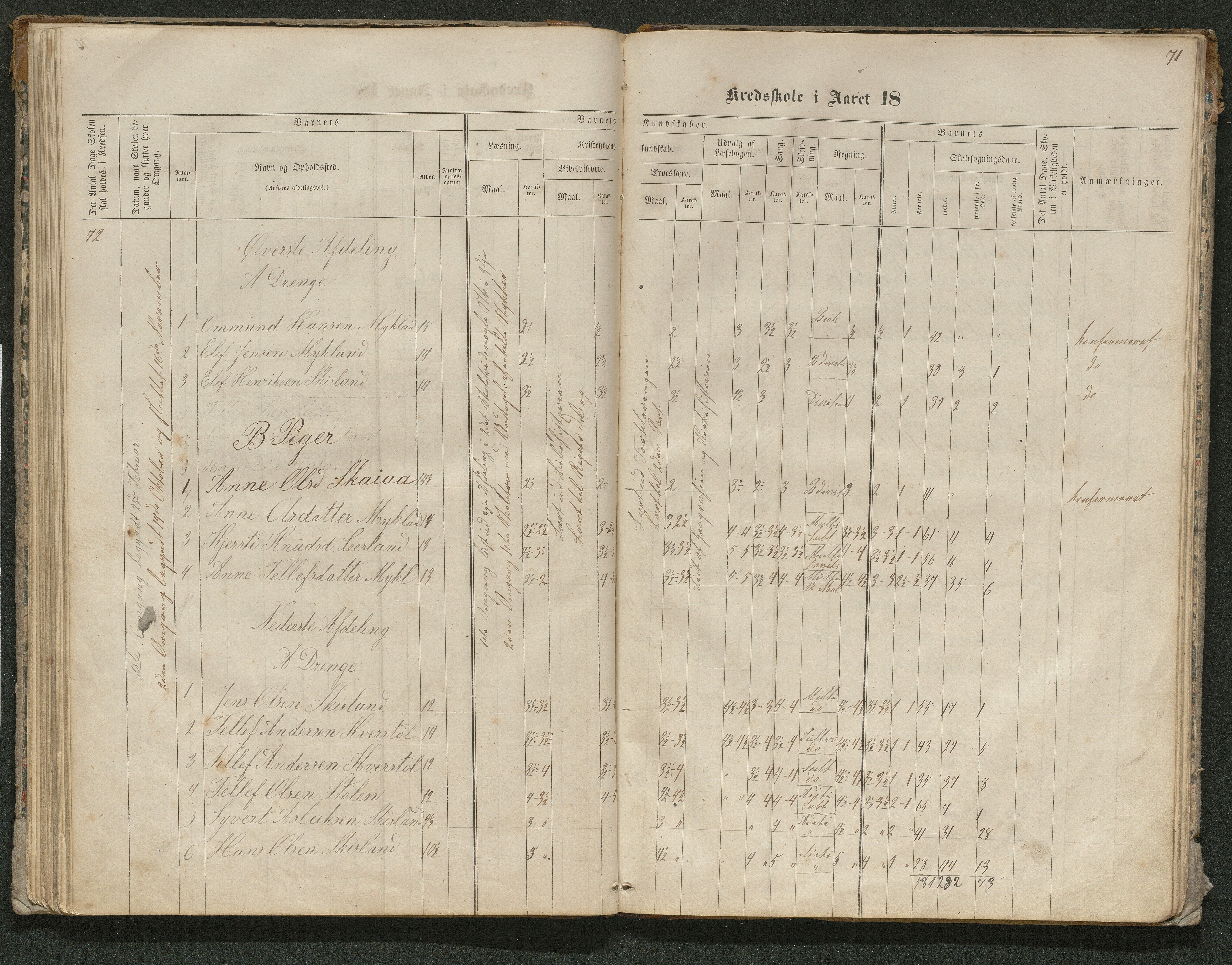 Iveland kommune, De enkelte kretsene/Skolene, AAKS/KA0935-550/A_10/L0005: Skoleprotokoll for Frøyså og Mykland krets, 1864-1881, p. 71