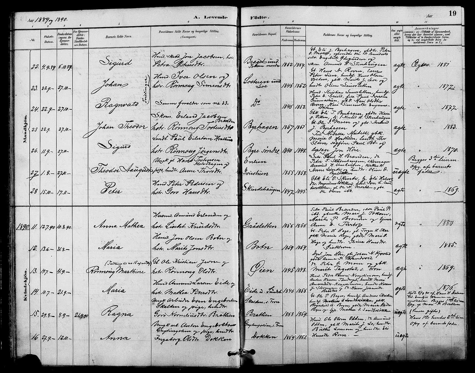 Nord-Fron prestekontor, SAH/PREST-080/H/Ha/Hab/L0004: Parish register (copy) no. 4, 1884-1914, p. 19