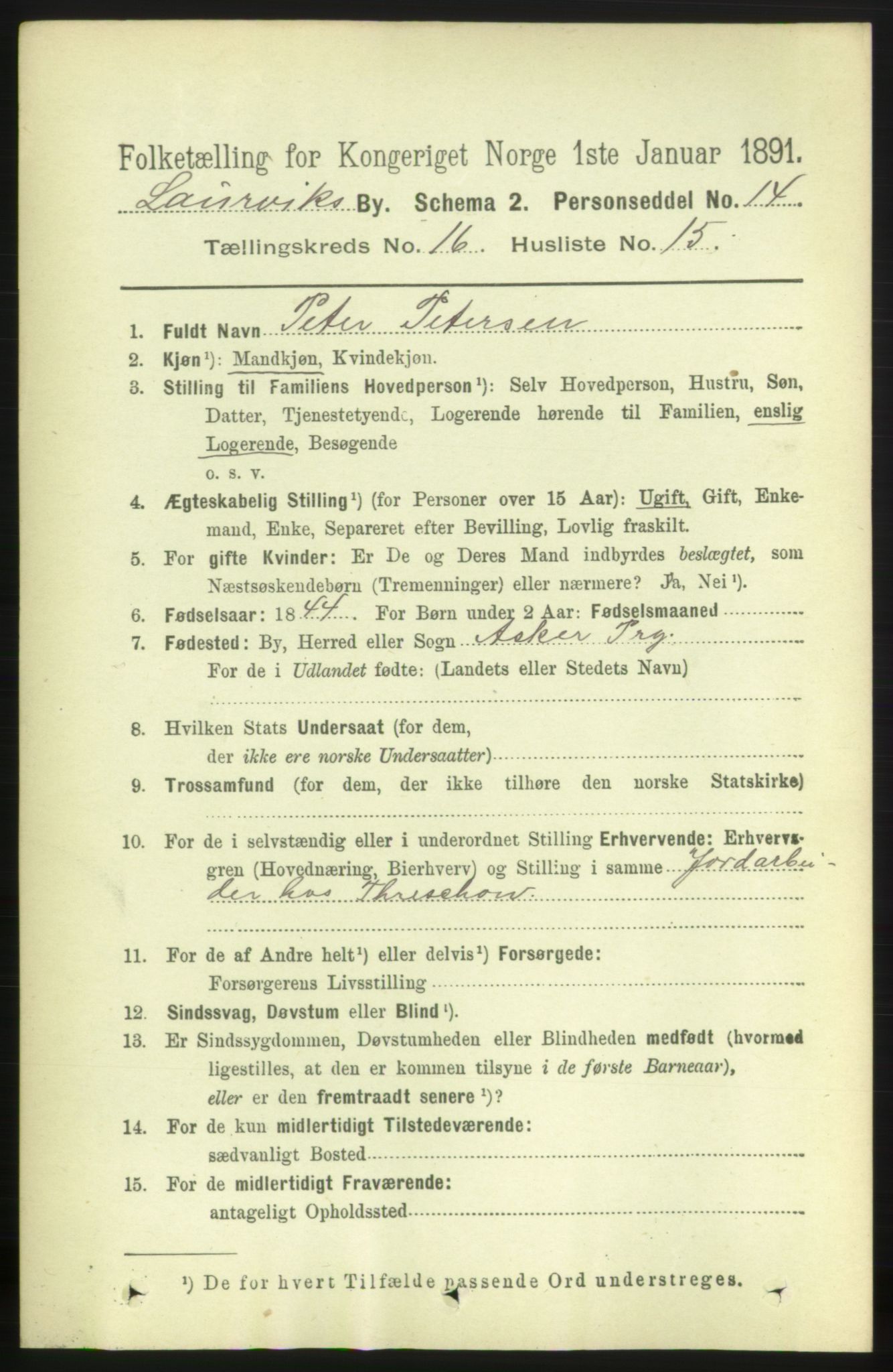 RA, 1891 census for 0707 Larvik, 1891, p. 11769