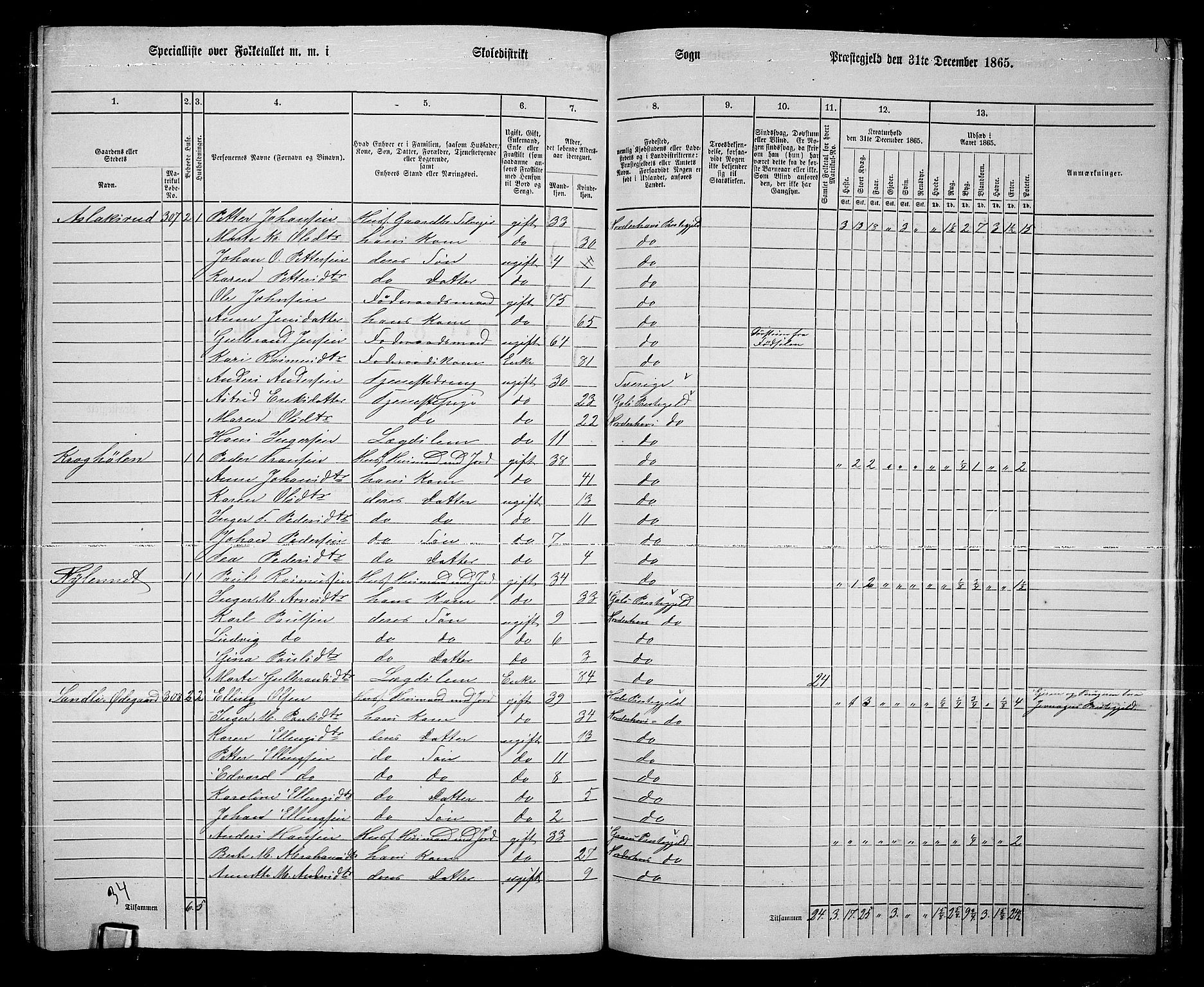 RA, 1865 census for Norderhov/Norderhov, Haug og Lunder, 1865, p. 260