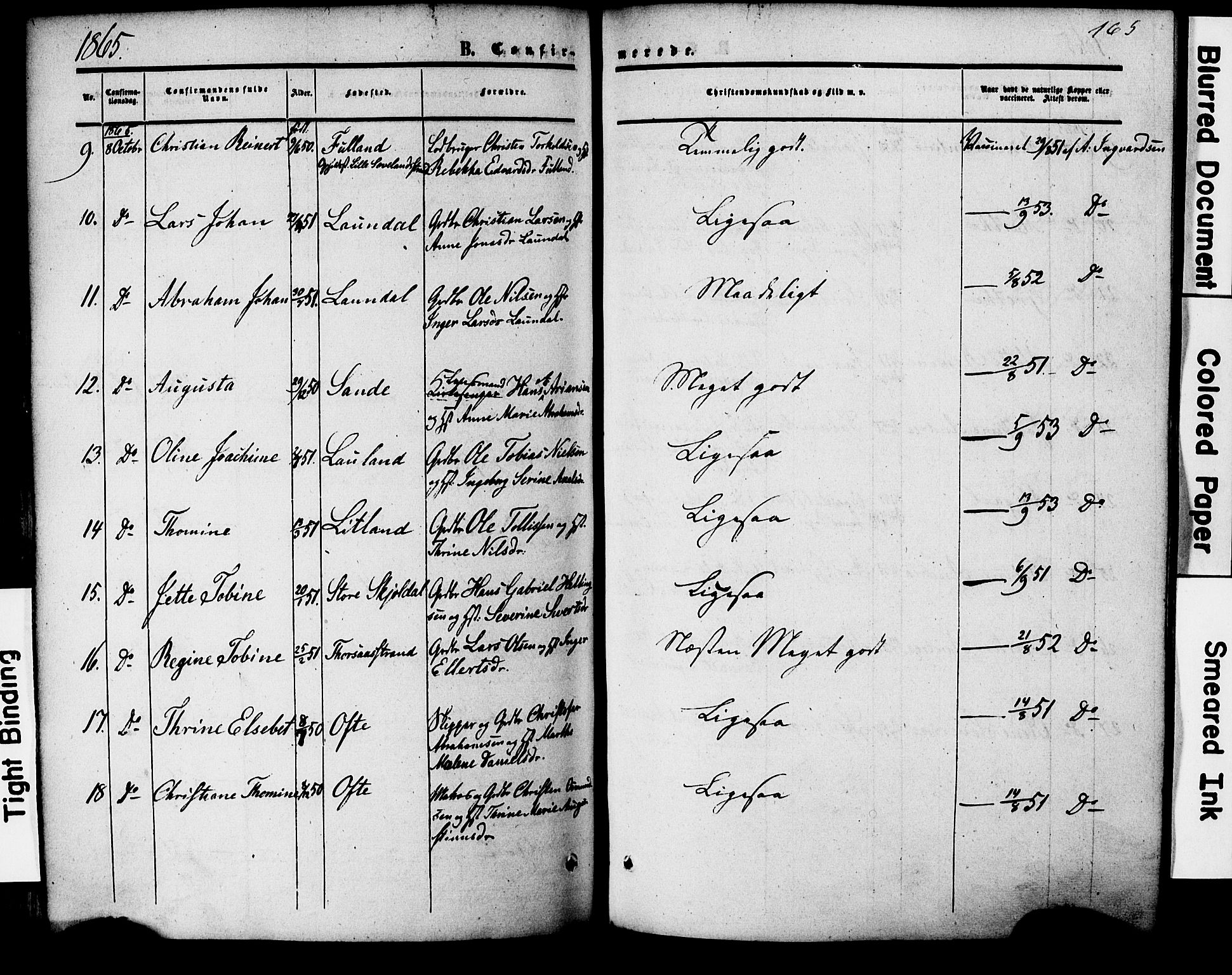 Herad sokneprestkontor, AV/SAK-1111-0018/F/Fa/Faa/L0005: Parish register (official) no. A 5, 1853-1886, p. 165