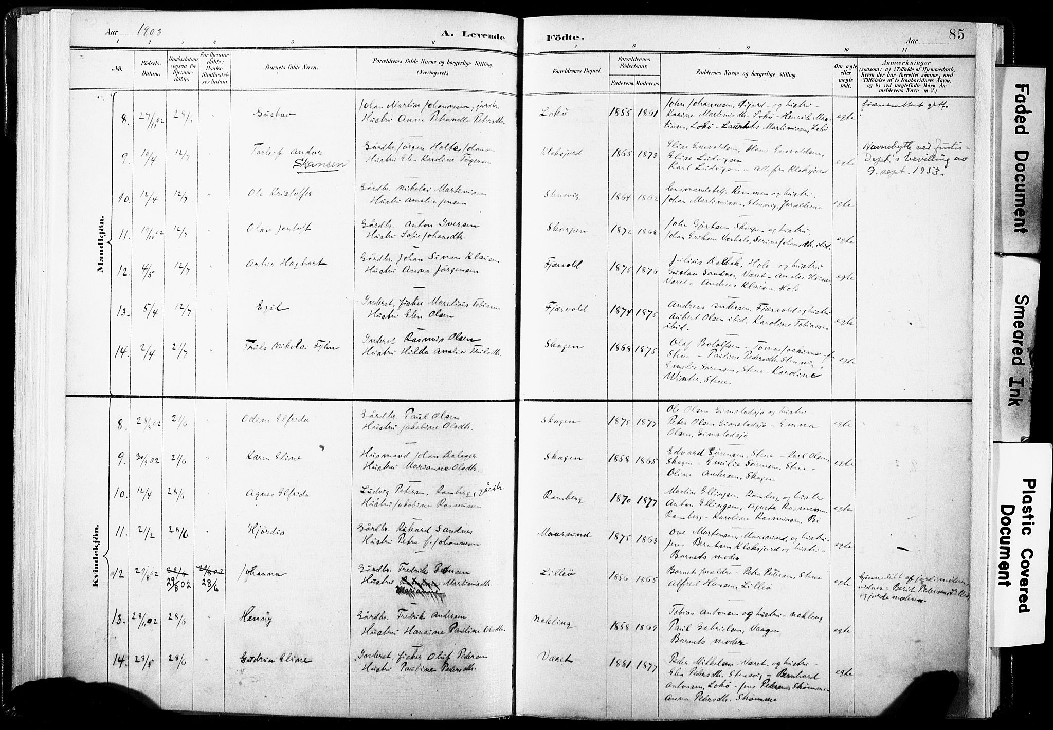 Ministerialprotokoller, klokkerbøker og fødselsregistre - Nordland, SAT/A-1459/891/L1304: Parish register (official) no. 891A09, 1895-1921, p. 85
