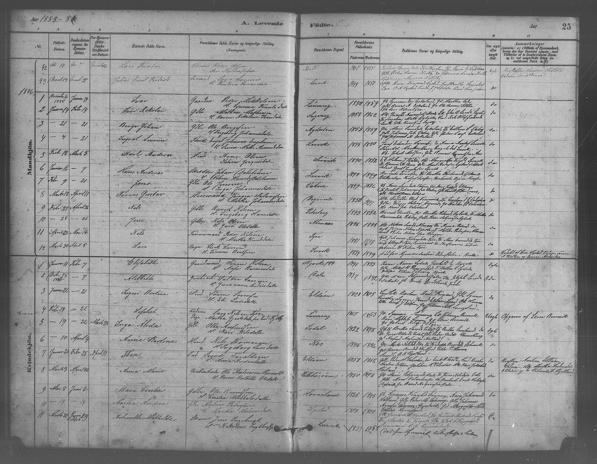 Stord sokneprestembete, SAB/A-78201/H/Hab: Parish register (copy) no. A 2, 1879-1909, p. 25