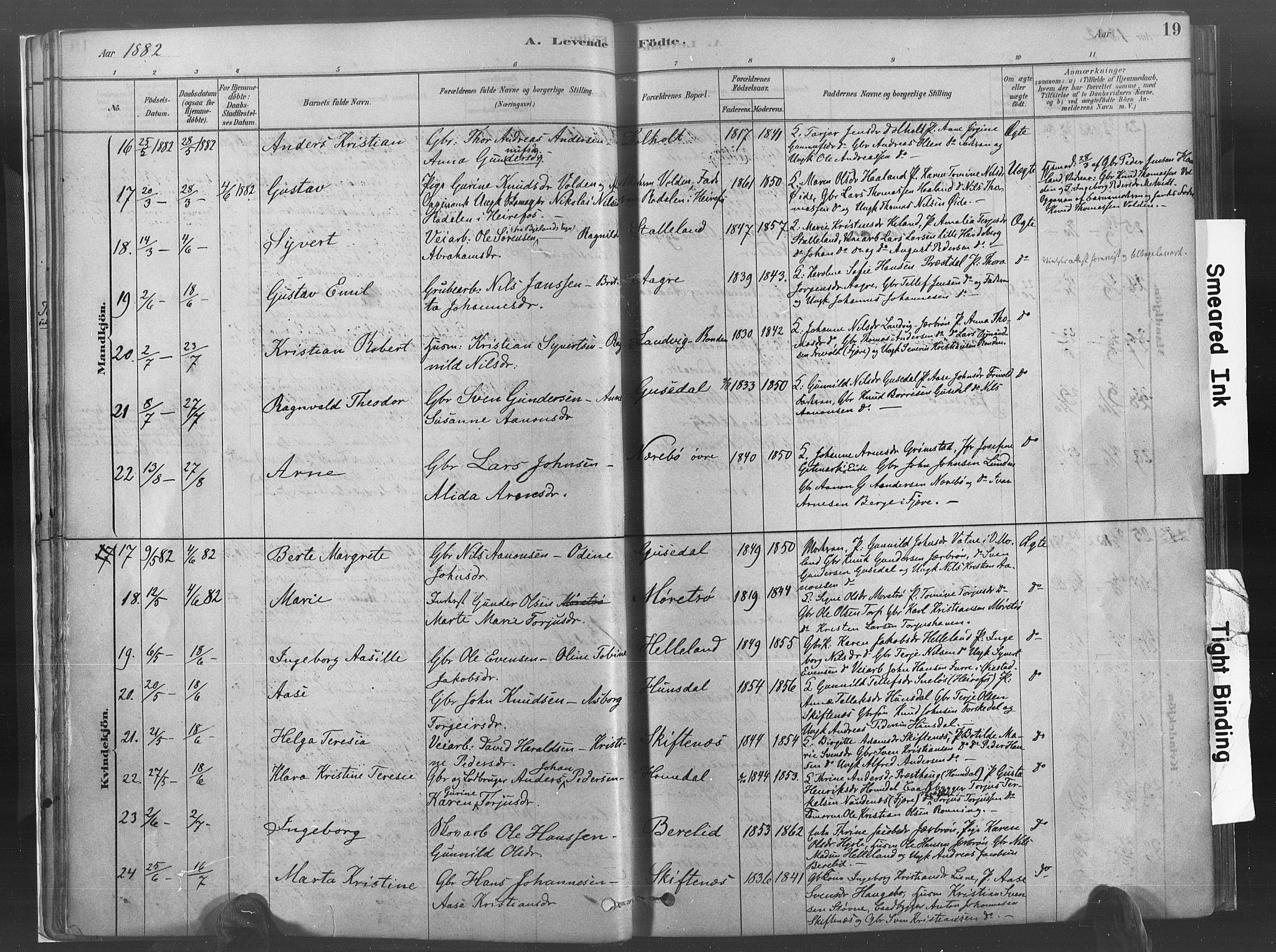 Hommedal sokneprestkontor, SAK/1111-0023/F/Fa/Fab/L0006: Parish register (official) no. A 6, 1878-1897, p. 19