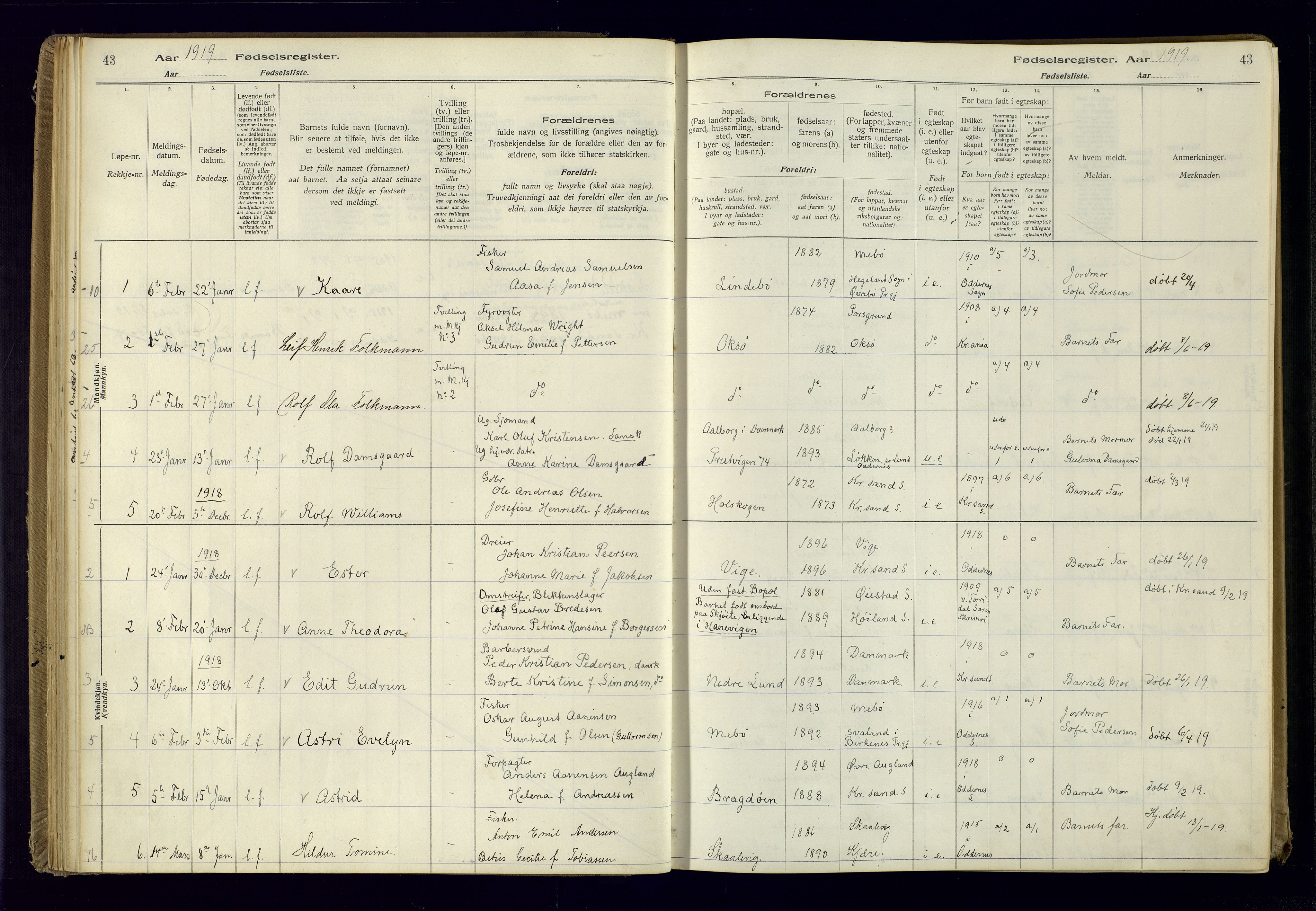 Oddernes sokneprestkontor, AV/SAK-1111-0033/J/Ja/L0001: Birth register no. 1, 1916-1935, p. 43