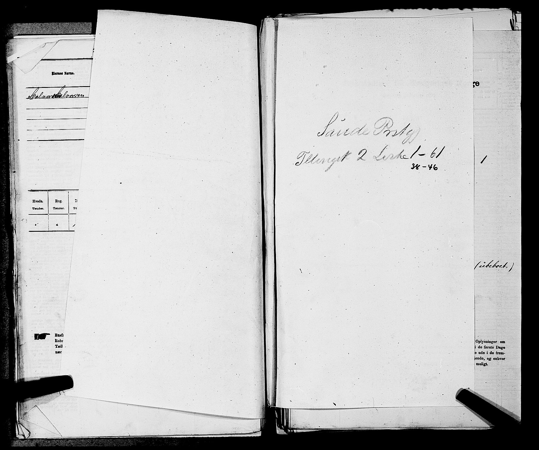 SAKO, 1875 census for 0822P Sauherad, 1875, p. 161