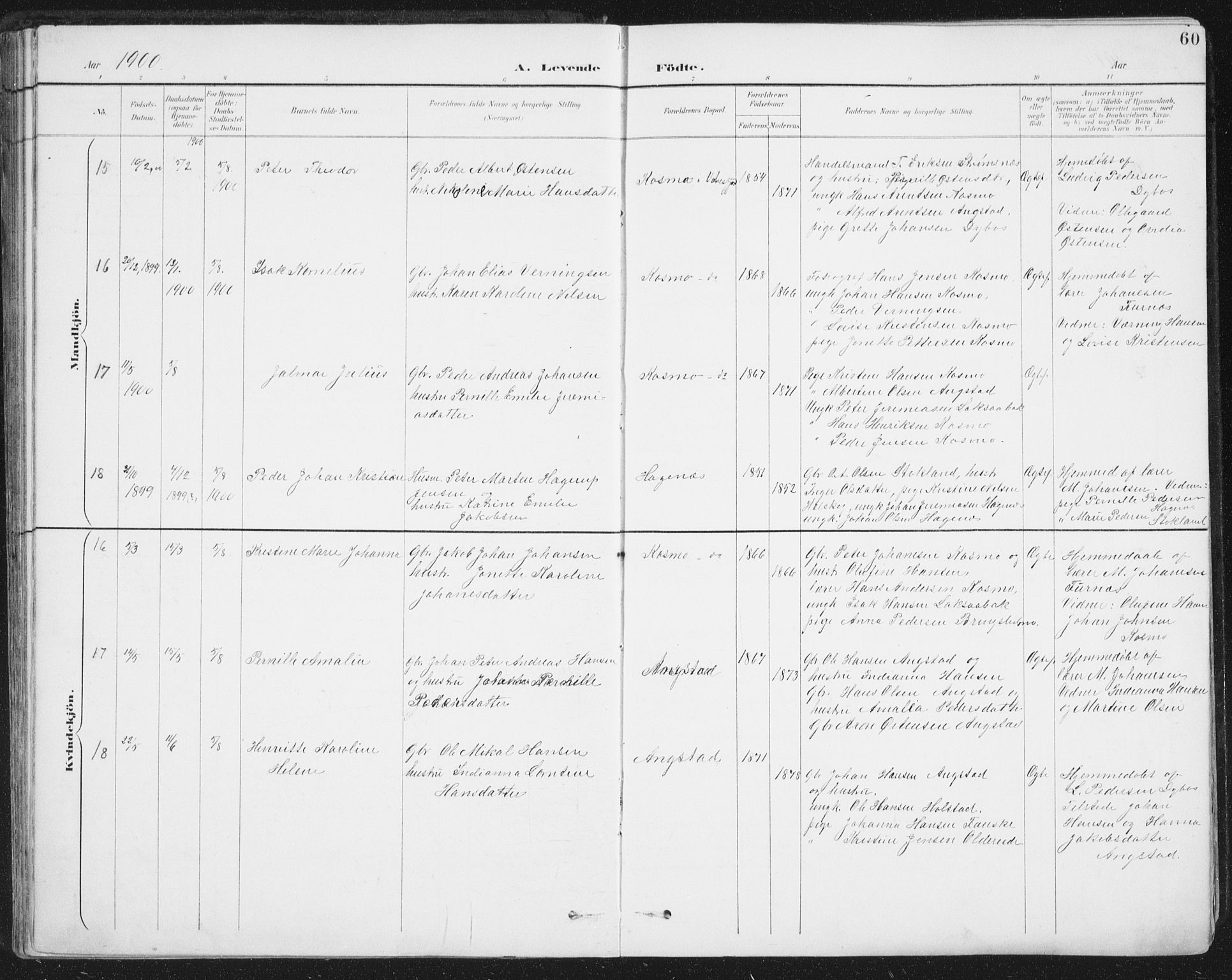 Ministerialprotokoller, klokkerbøker og fødselsregistre - Nordland, AV/SAT-A-1459/852/L0741: Parish register (official) no. 852A11, 1894-1917, p. 60