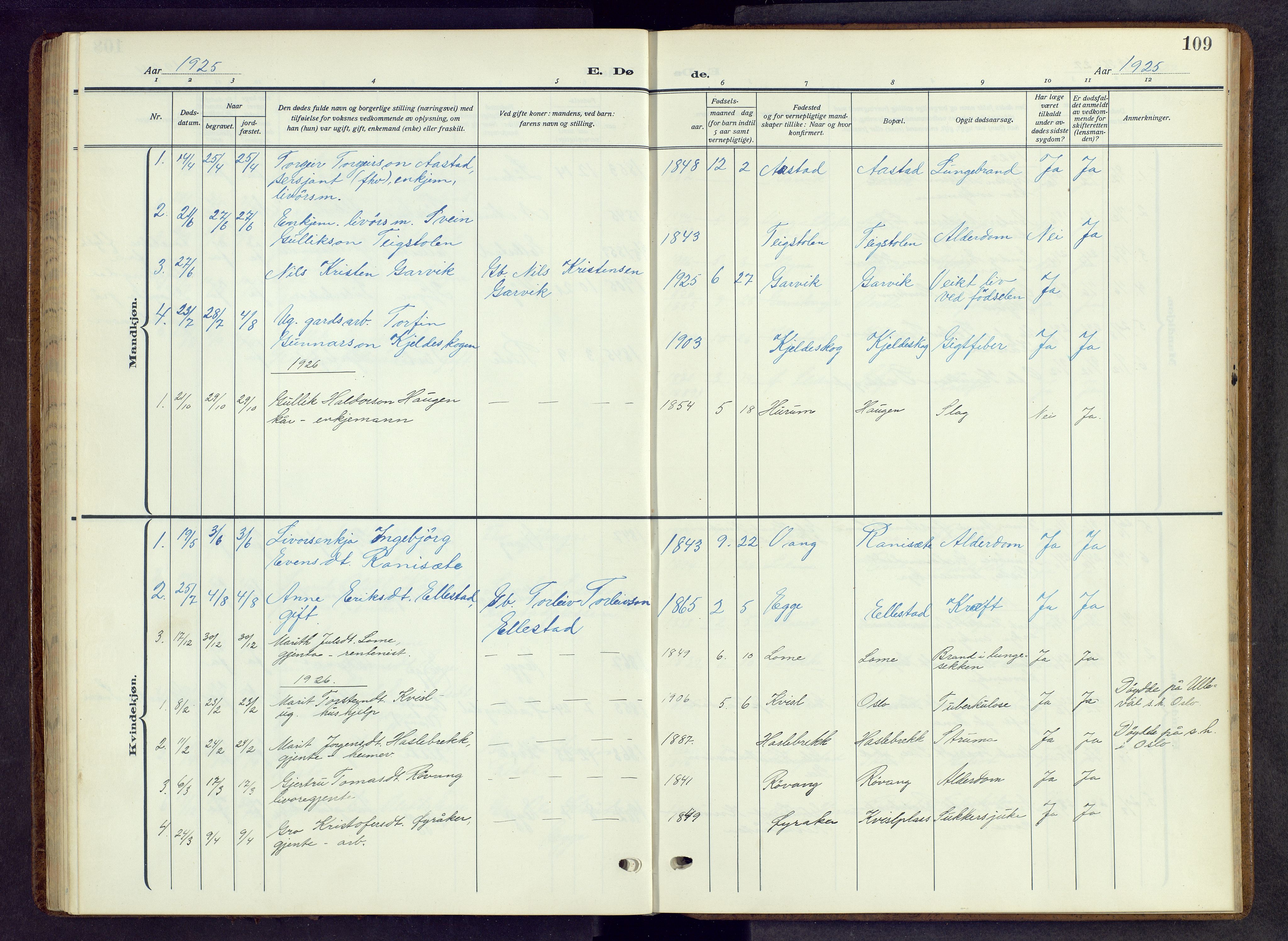 Vestre Slidre prestekontor, SAH/PREST-136/H/Ha/Hab/L0009: Parish register (copy) no. 9, 1914-1970, p. 109