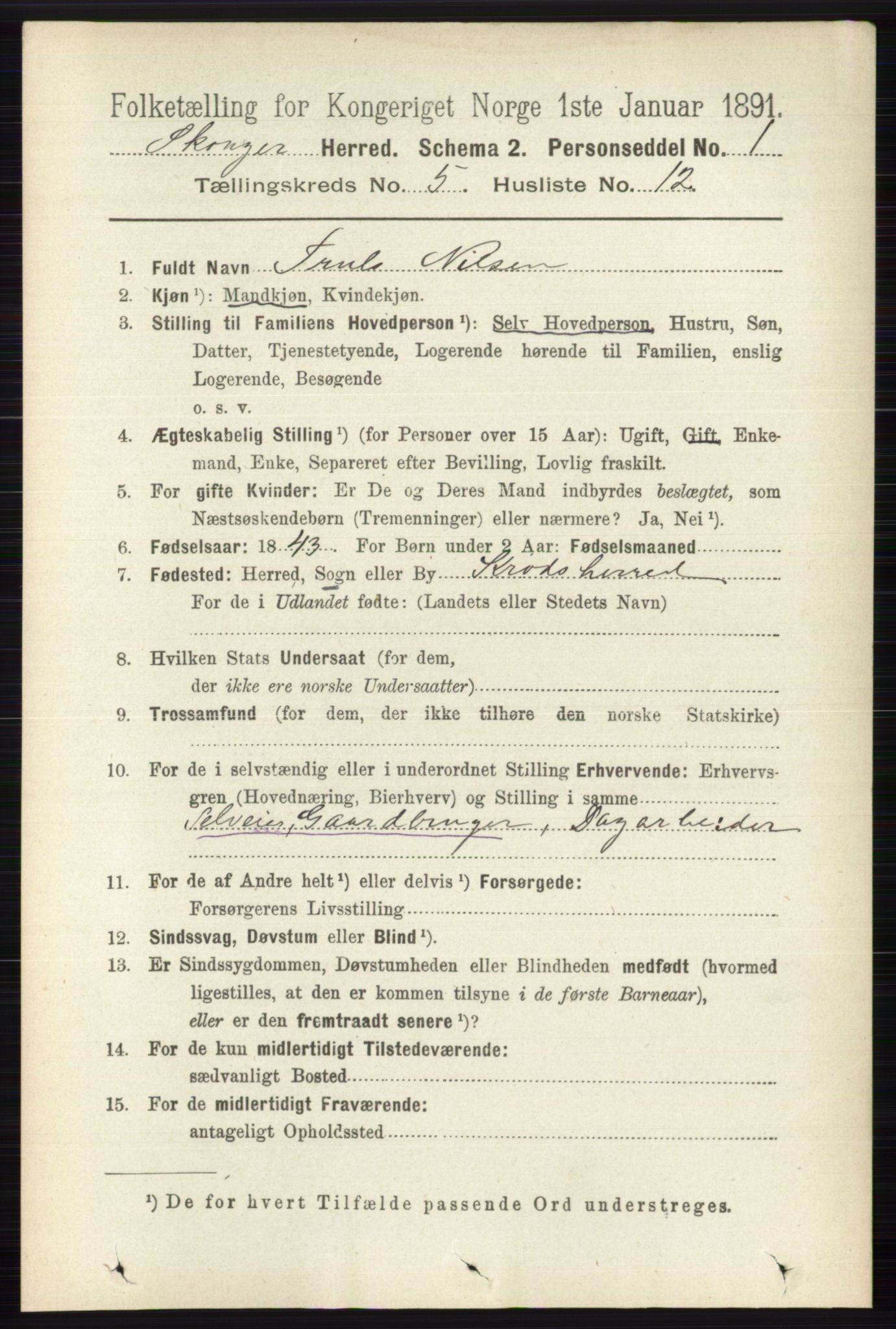 RA, 1891 census for 0712 Skoger, 1891, p. 3173
