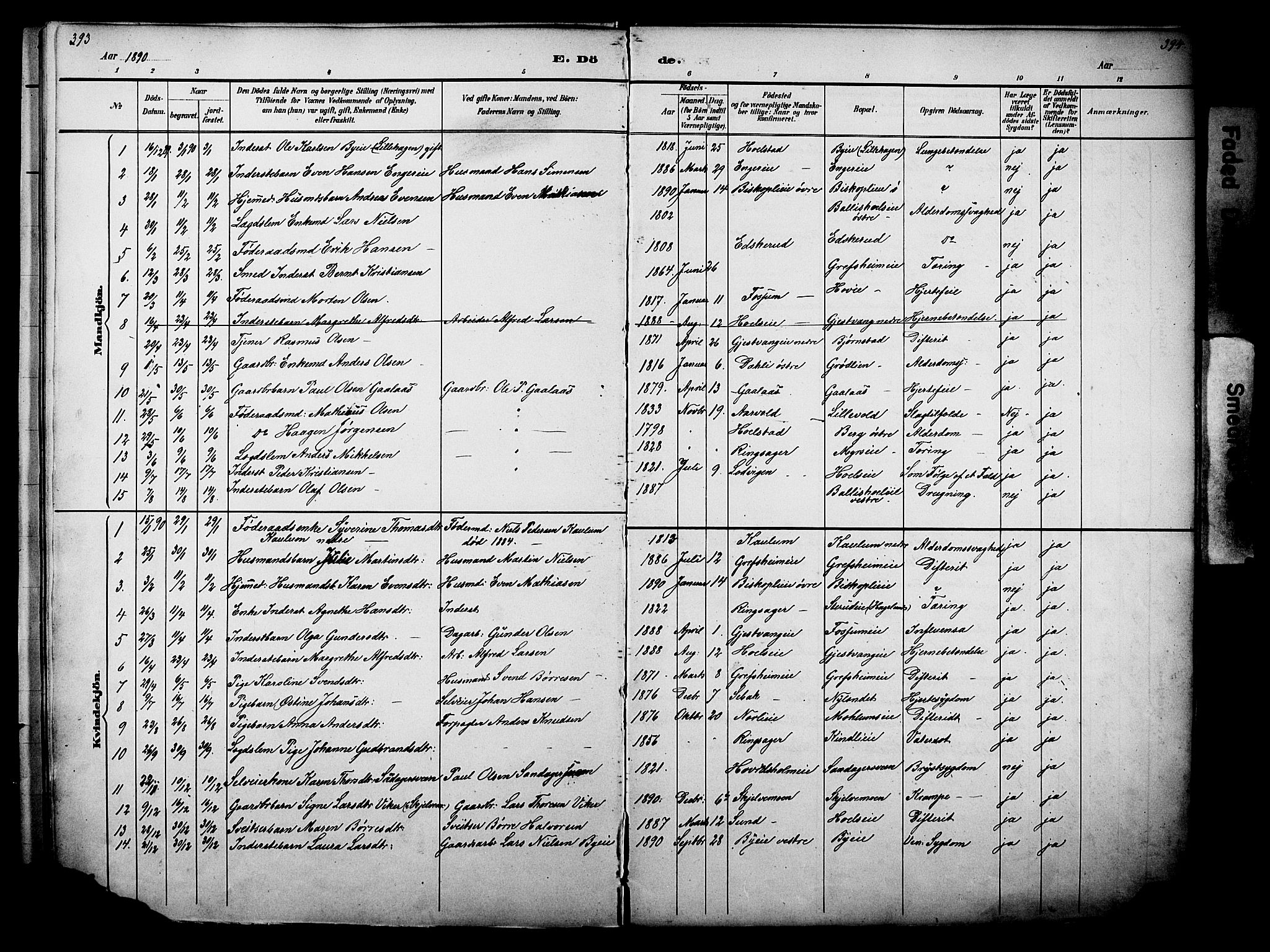 Nes prestekontor, Hedmark, SAH/PREST-020/L/La/L0006: Parish register (copy) no. 6, 1890-1932, p. 393-394