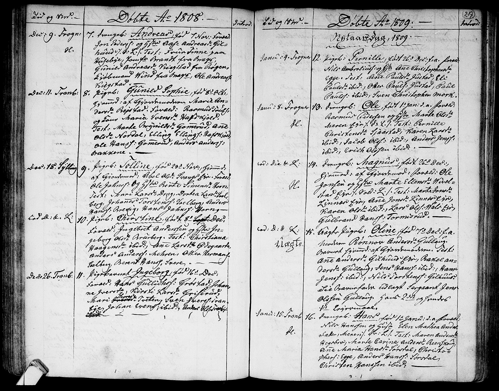 Lier kirkebøker, SAKO/A-230/F/Fa/L0007: Parish register (official) no. I 7, 1794-1813, p. 217