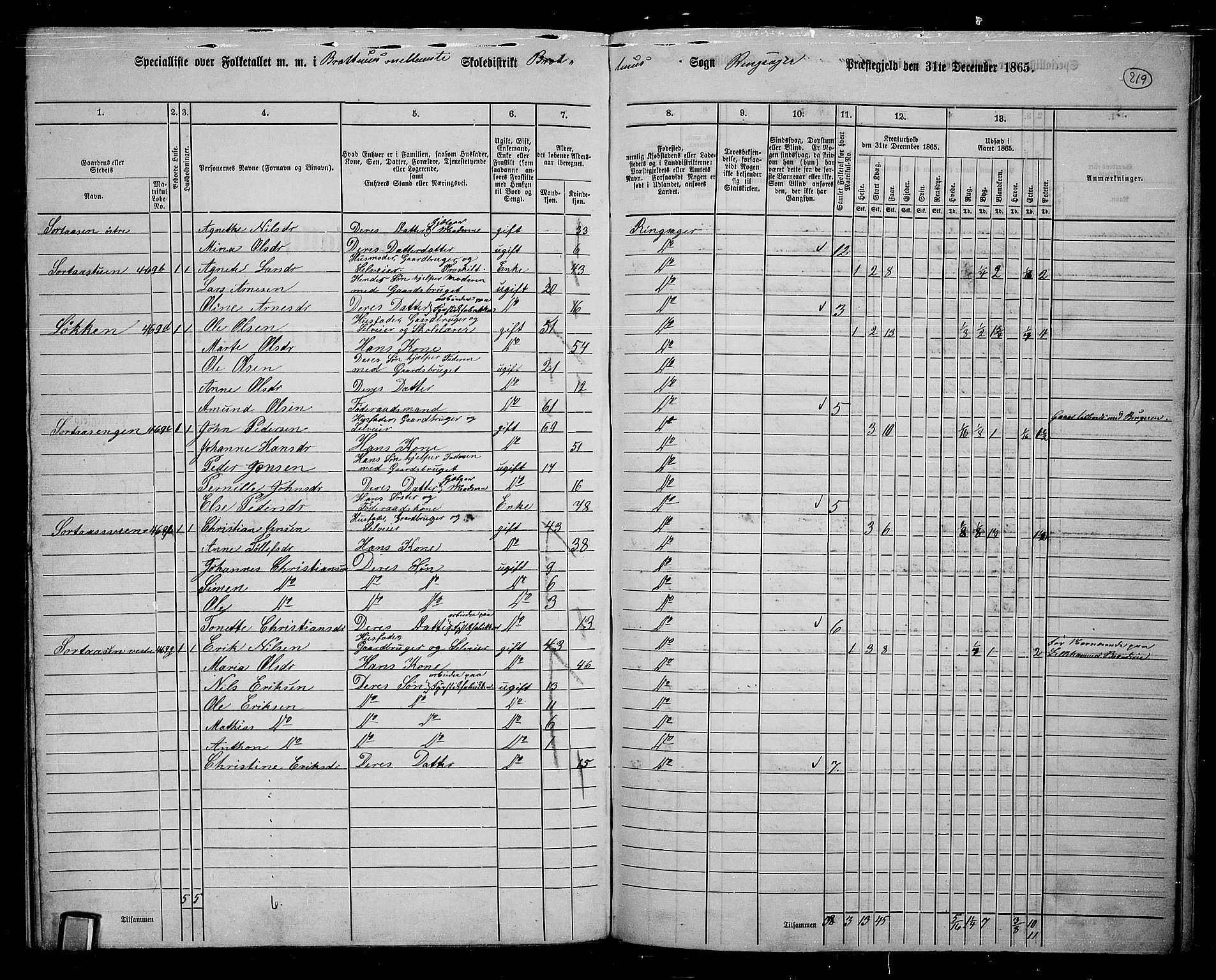 RA, 1865 census for Ringsaker, 1865, p. 458