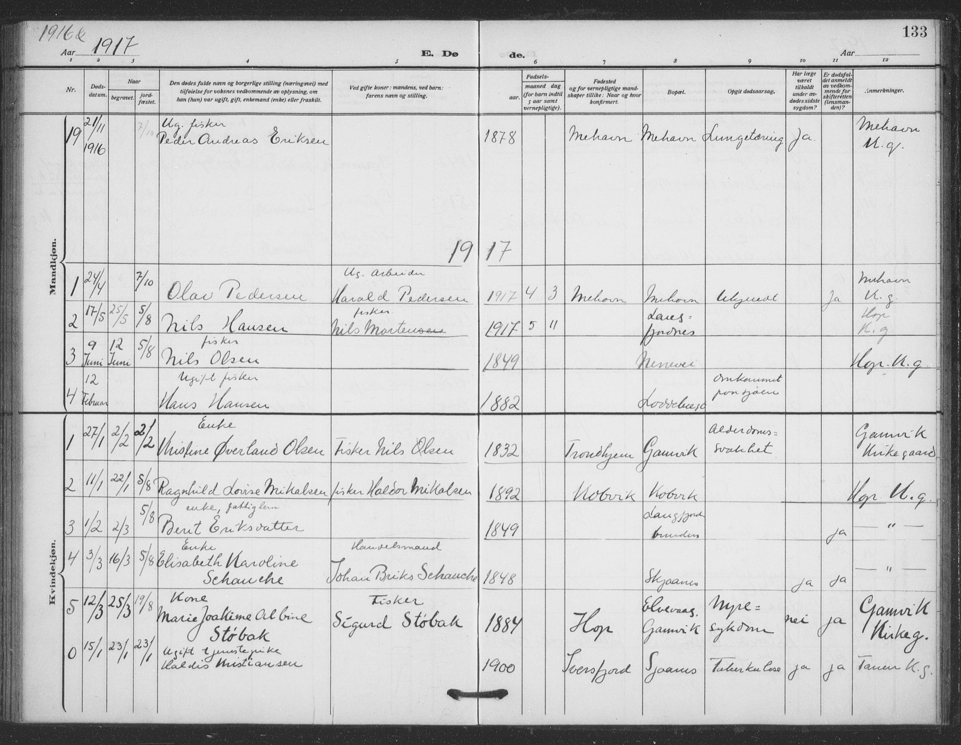 Tana sokneprestkontor, SATØ/S-1334/H/Ha/L0008kirke: Parish register (official) no. 8, 1908-1920, p. 133