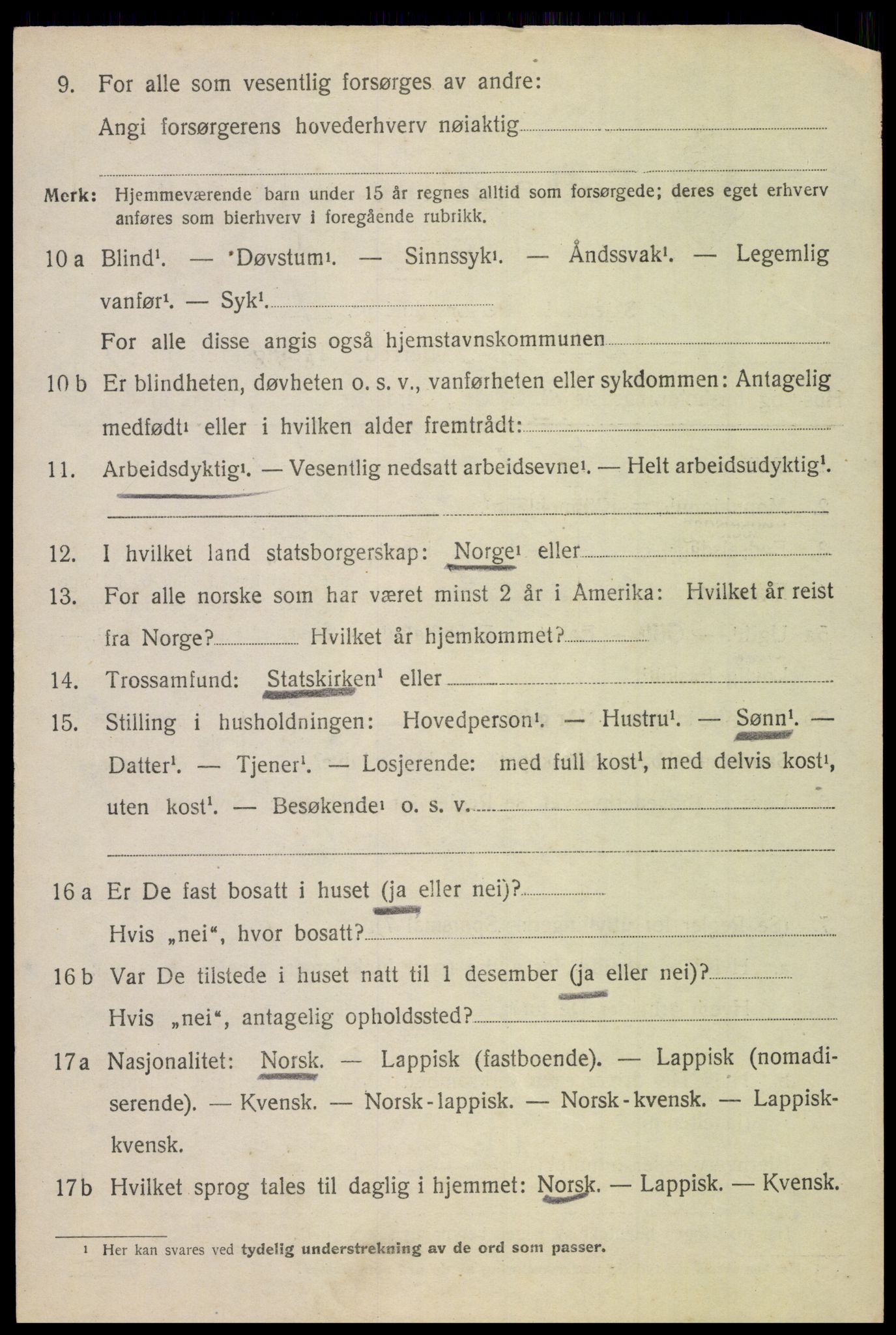 SAT, 1920 census for Borge, 1920, p. 5066