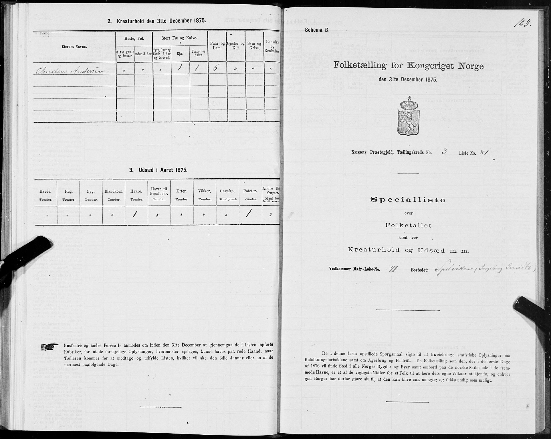 SAT, 1875 census for 1543P Nesset, 1875, p. 2163