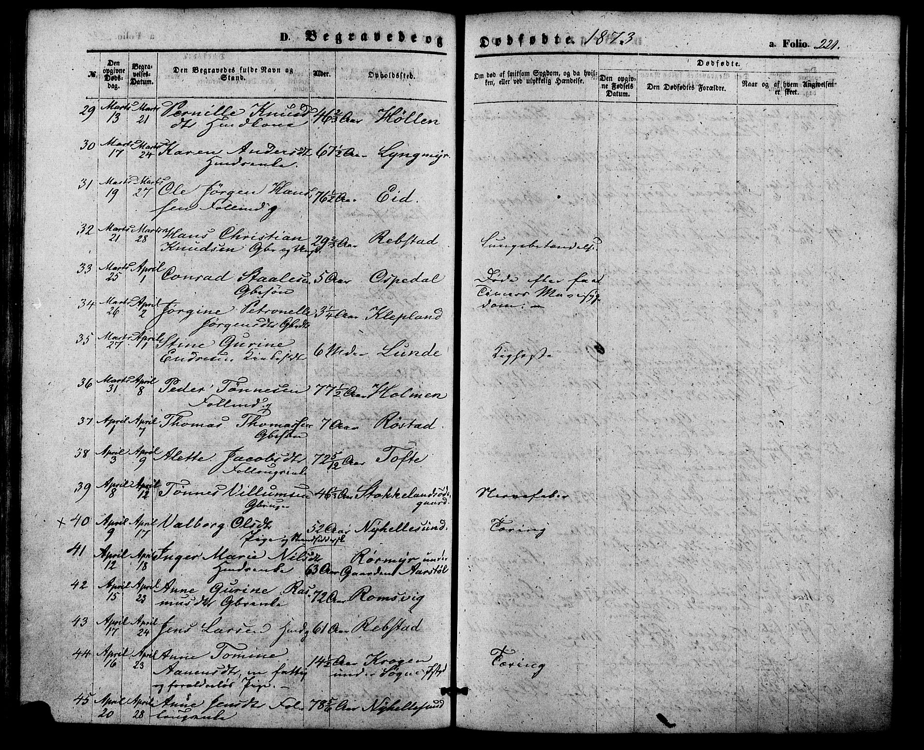 Søgne sokneprestkontor, AV/SAK-1111-0037/F/Fa/Fab/L0011: Parish register (official) no. A 11, 1869-1879, p. 221