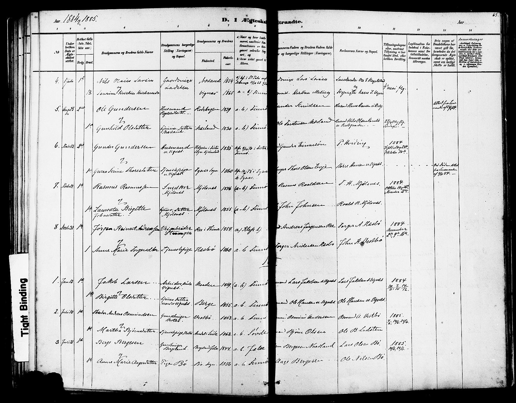 Finnøy sokneprestkontor, SAST/A-101825/H/Ha/Haa/L0010: Parish register (official) no. A 10, 1879-1890, p. 65
