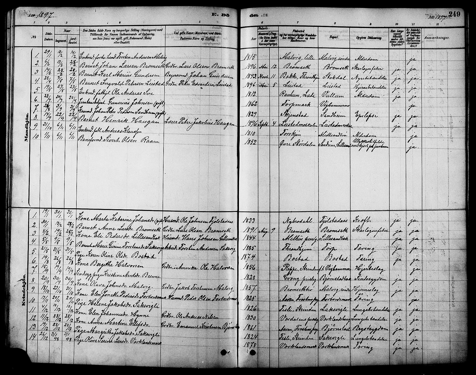 Ministerialprotokoller, klokkerbøker og fødselsregistre - Sør-Trøndelag, SAT/A-1456/616/L0423: Parish register (copy) no. 616C06, 1878-1903, p. 249