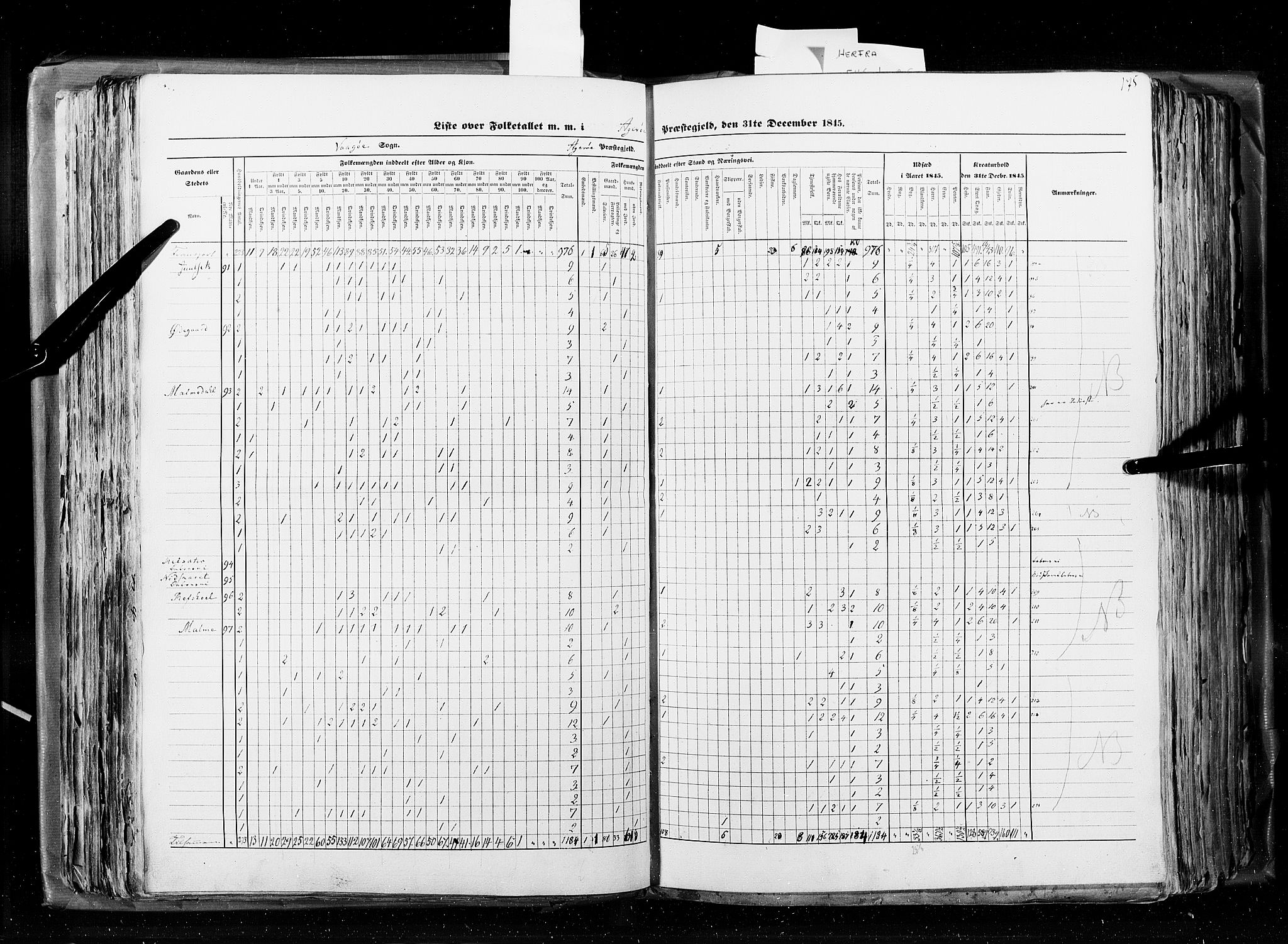 RA, Census 1845, vol. 8: Romsdal amt og Søndre Trondhjems amt, 1845, p. 175