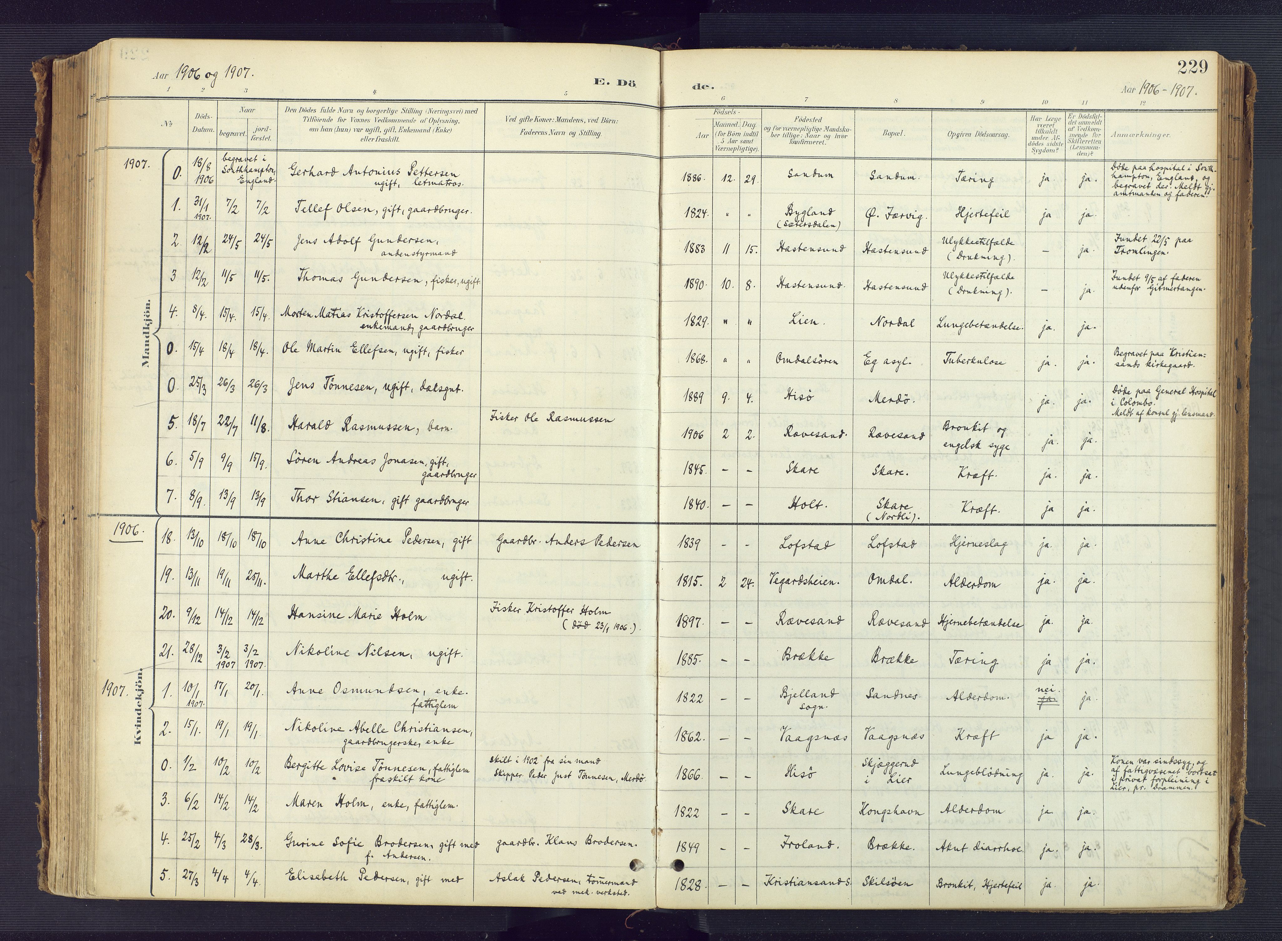 Tromøy sokneprestkontor, AV/SAK-1111-0041/F/Fa/L0010: Parish register (official) no. A 10, 1896-1912, p. 229