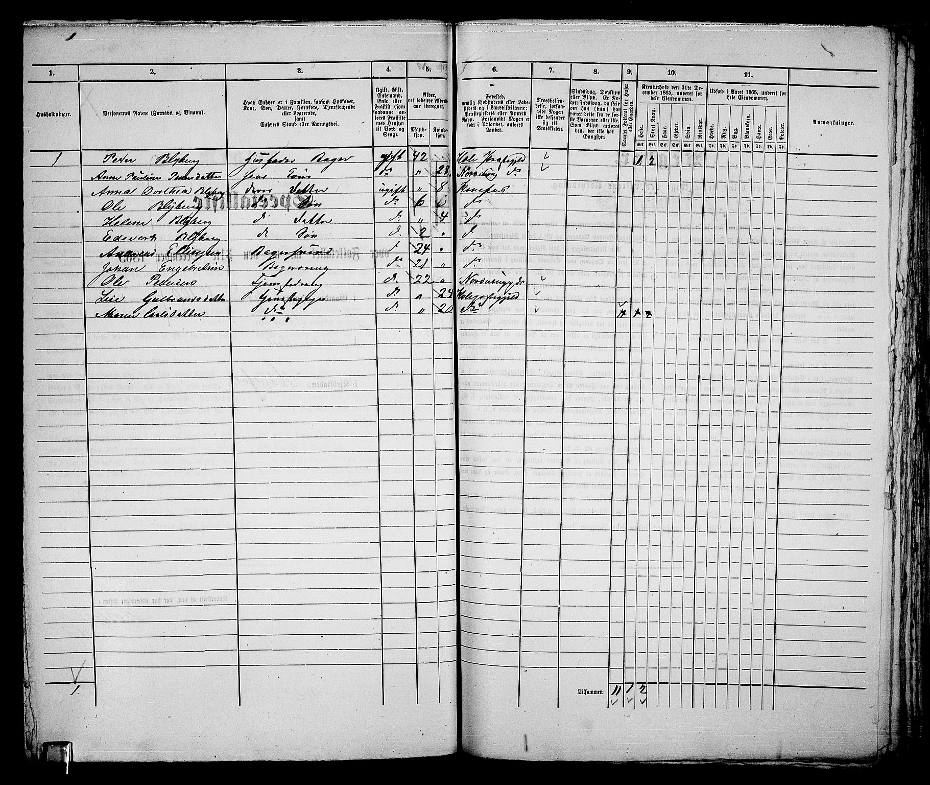 RA, 1865 census for Norderhov/Hønefoss, 1865, p. 237