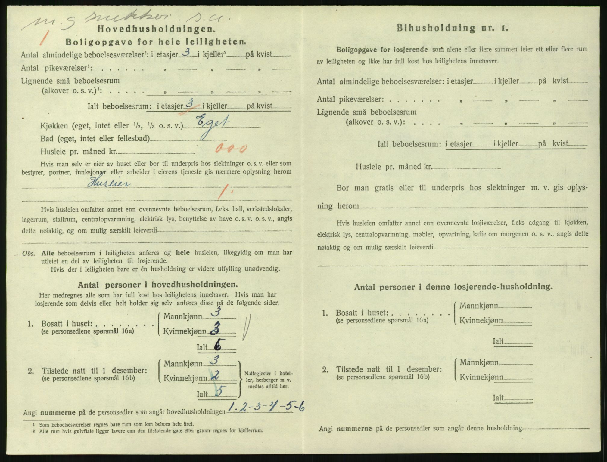 SAKO, 1920 census for Larvik, 1920, p. 3819