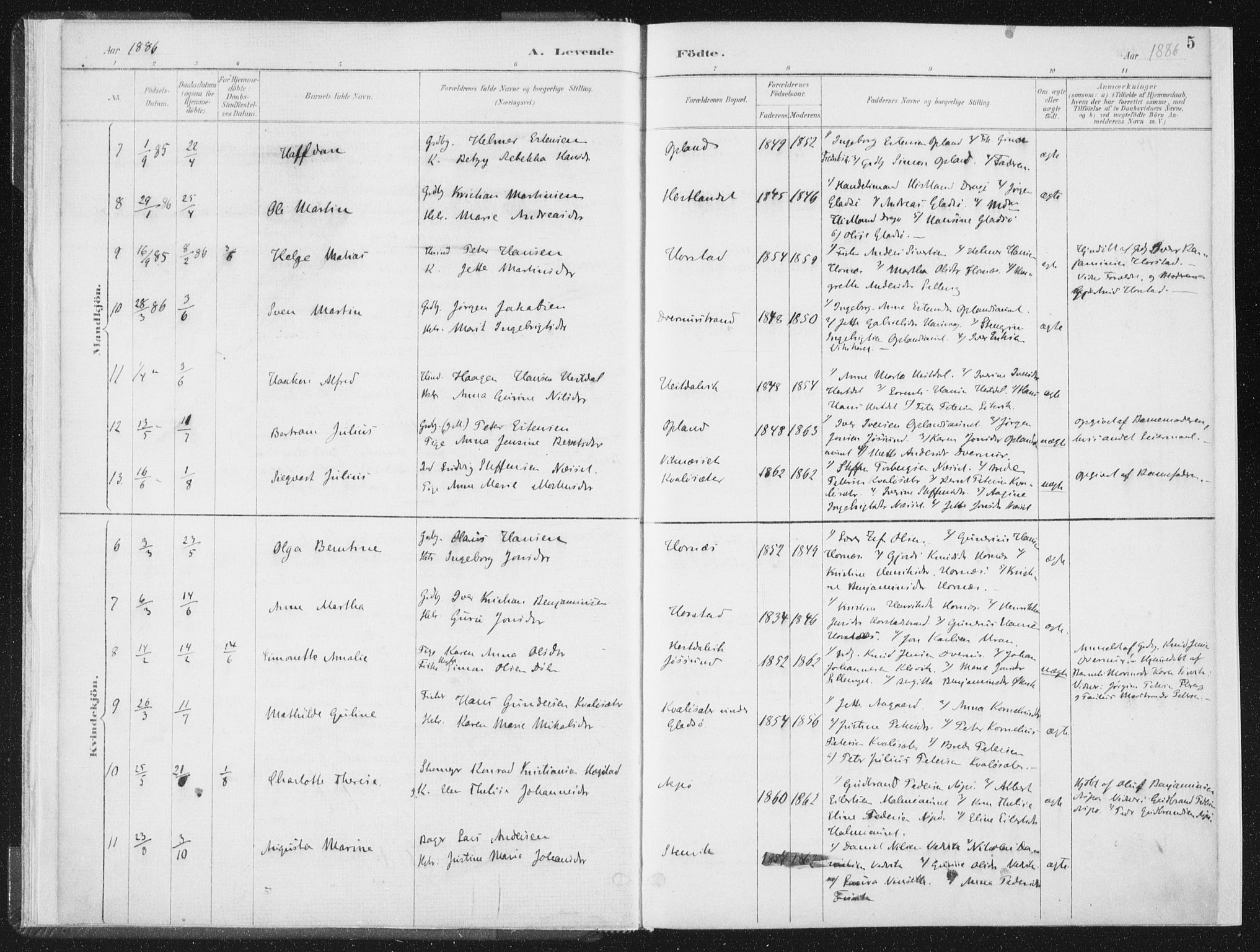 Ministerialprotokoller, klokkerbøker og fødselsregistre - Nord-Trøndelag, SAT/A-1458/771/L0597: Parish register (official) no. 771A04, 1885-1910, p. 5