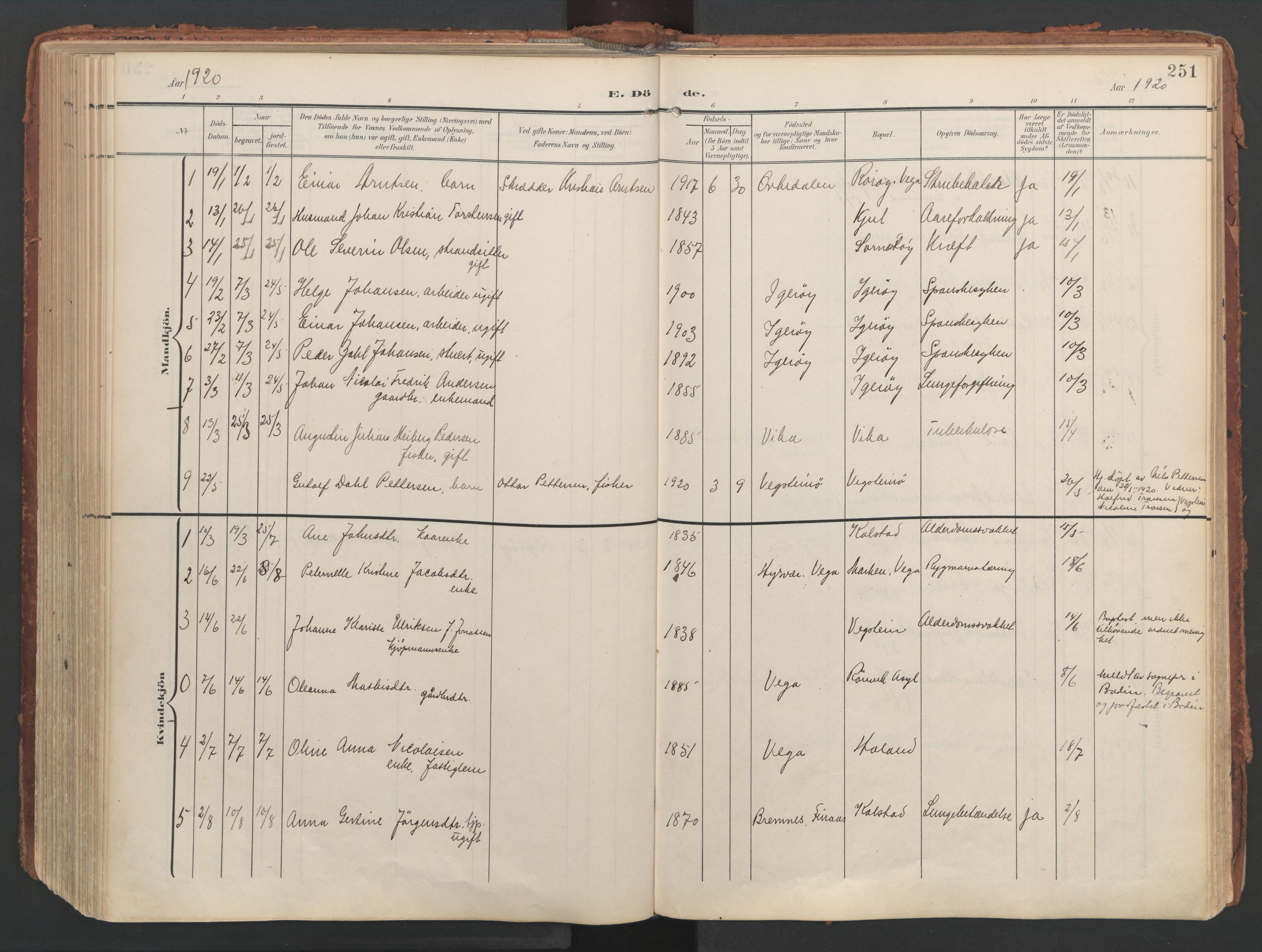 Ministerialprotokoller, klokkerbøker og fødselsregistre - Nordland, AV/SAT-A-1459/816/L0250: Parish register (official) no. 816A16, 1903-1923, p. 251