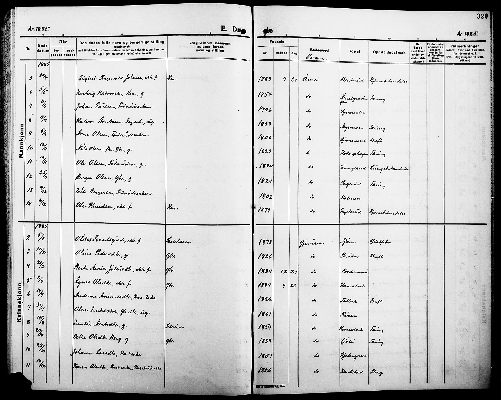 Åsnes prestekontor, AV/SAH-PREST-042/H/Ha/Haa/L0000B: Parish register (official), 1870-1889, p. 320