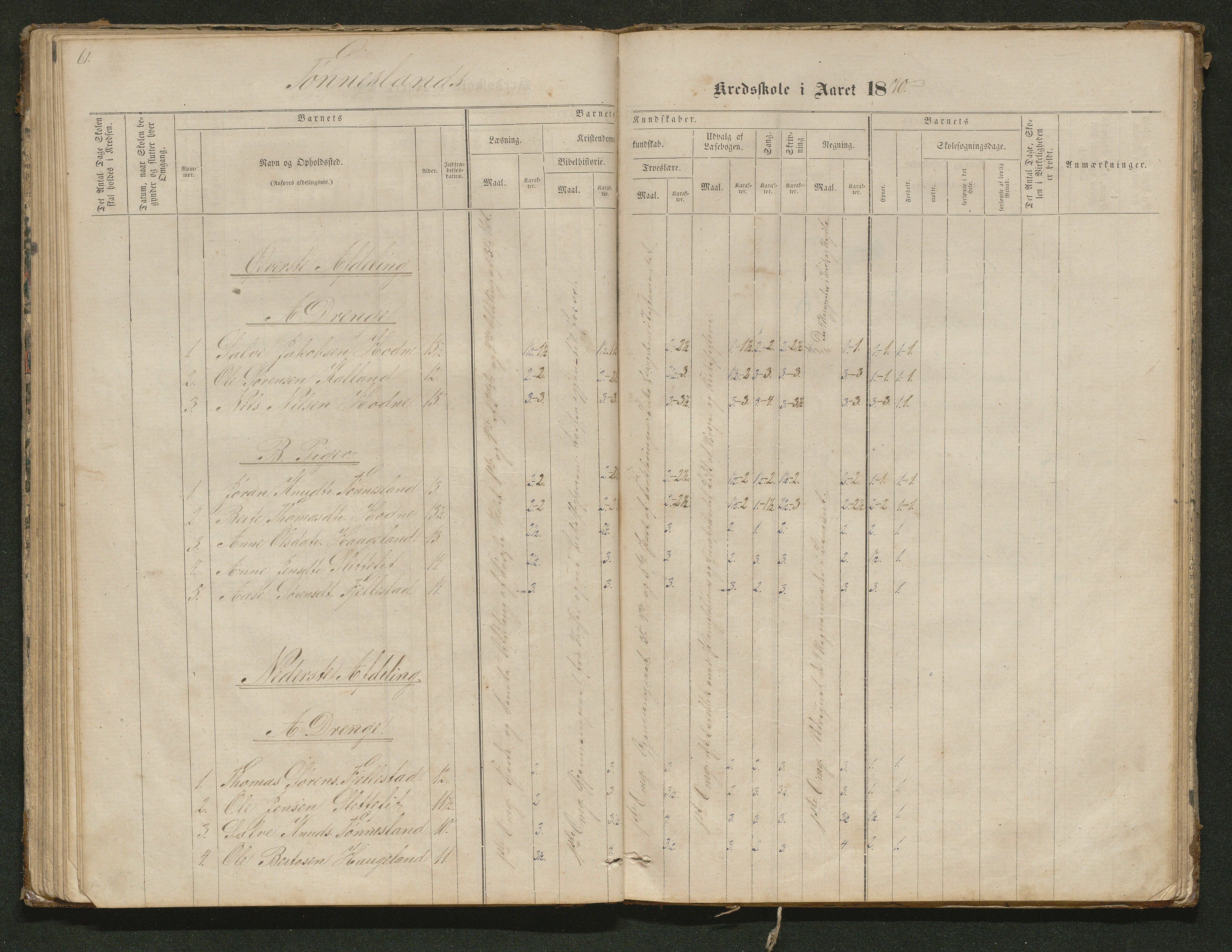 Hornnes kommune, Tønnesvold, Abusland skolekretser, AAKS/KA0936-550g/F1/L0001: Skoleprotokoll Abusland, Tønnesvold, 1864-1896, p. 61