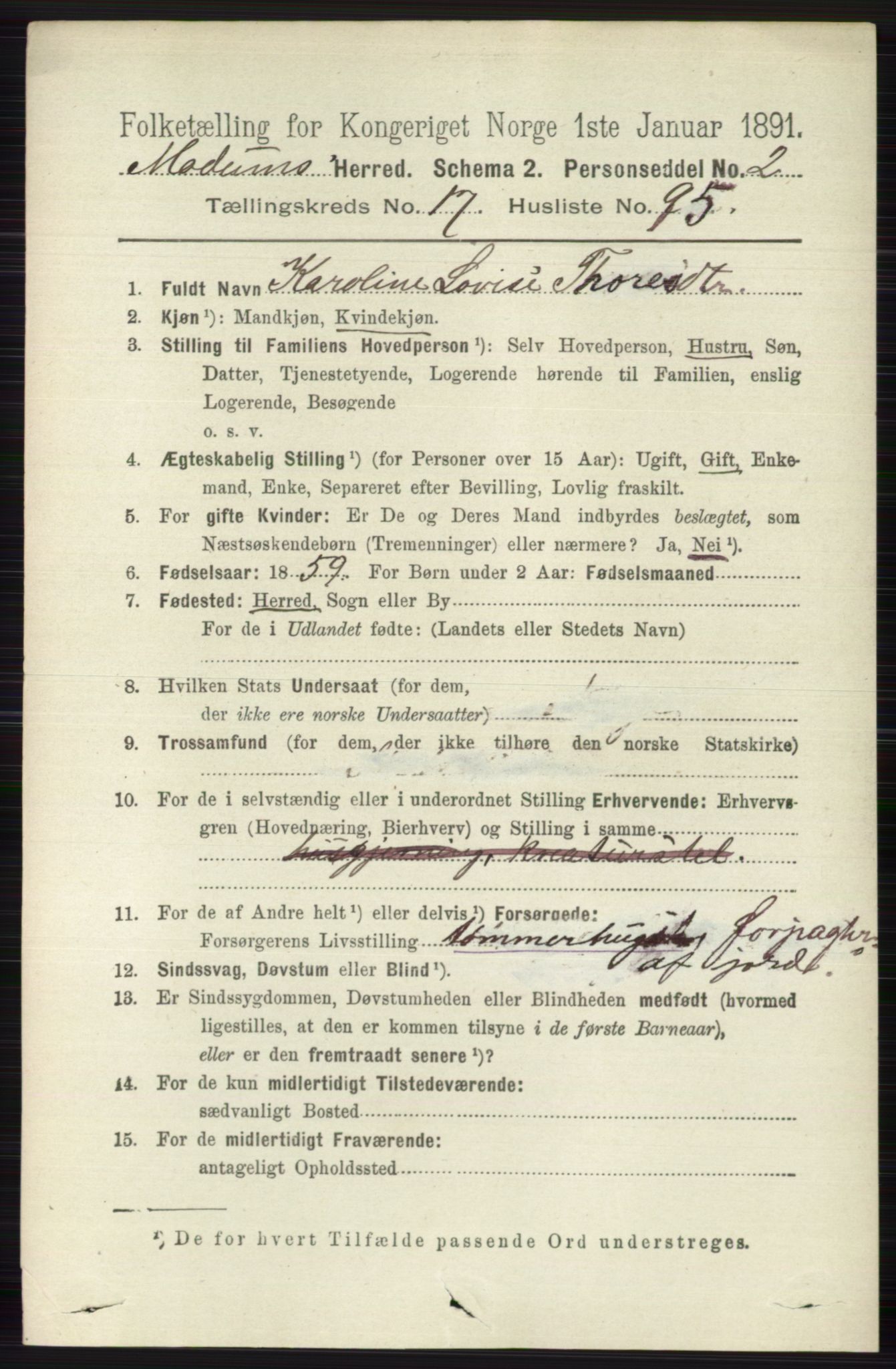 RA, 1891 census for 0623 Modum, 1891, p. 7134