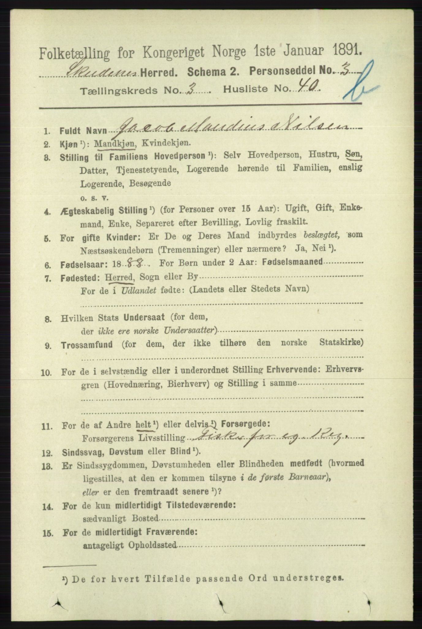 RA, 1891 census for 1150 Skudenes, 1891, p. 4207