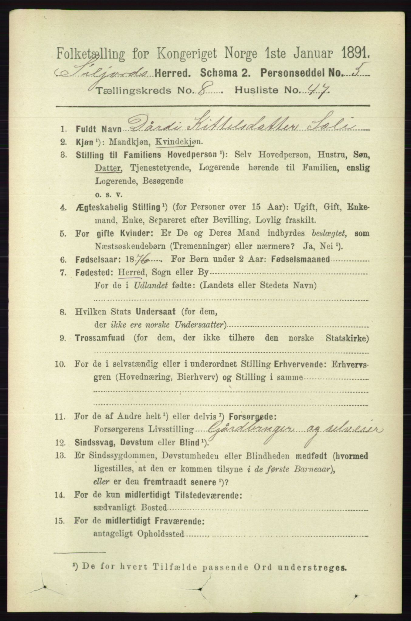 RA, 1891 census for 0828 Seljord, 1891, p. 3108