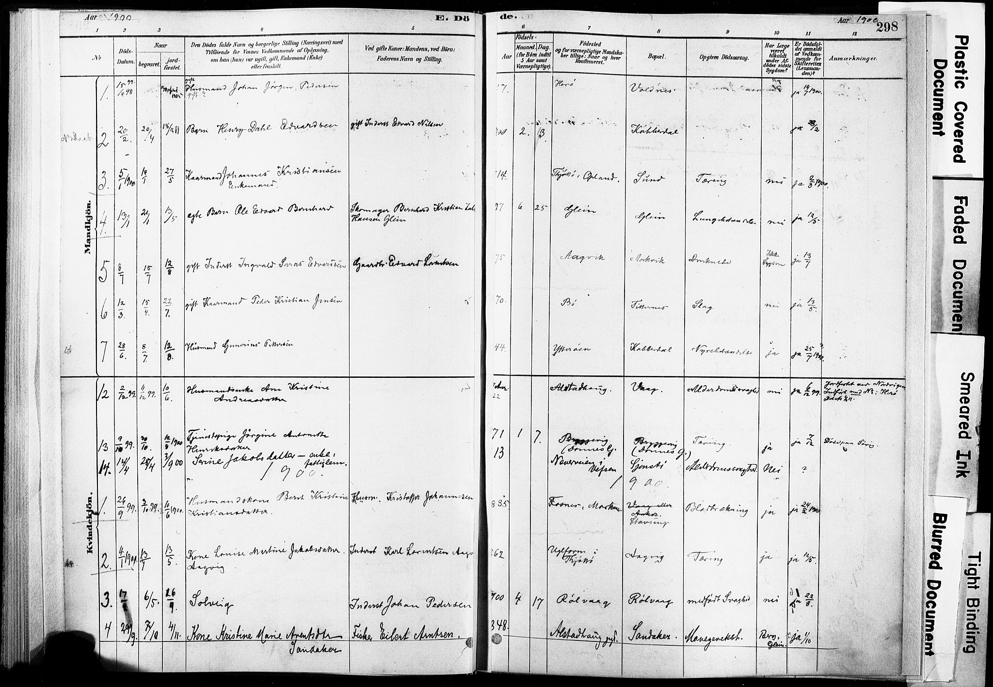 Ministerialprotokoller, klokkerbøker og fødselsregistre - Nordland, AV/SAT-A-1459/835/L0526: Parish register (official) no. 835A03II, 1881-1910, p. 298