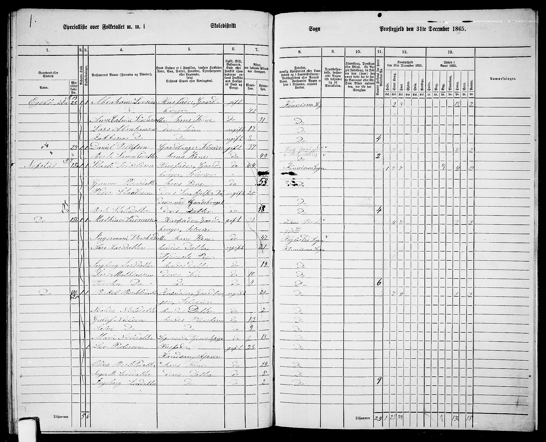 RA, 1865 census for Nord-Audnedal, 1865, p. 104