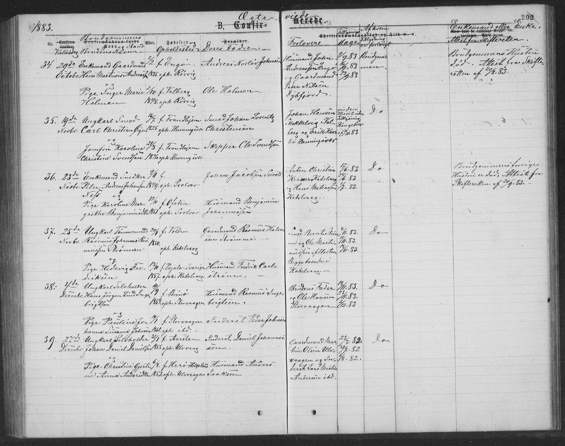 Ministerialprotokoller, klokkerbøker og fødselsregistre - Nordland, AV/SAT-A-1459/874/L1075: Parish register (copy) no. 874C04, 1876-1883, p. 202