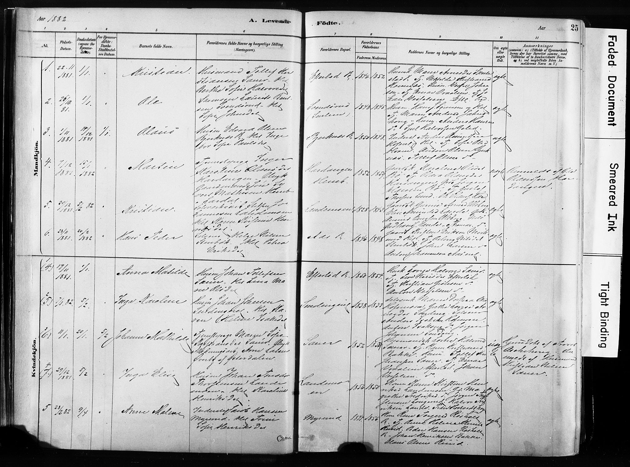 Sandsvær kirkebøker, AV/SAKO-A-244/F/Fb/L0001: Parish register (official) no. II 1, 1878-1906, p. 25